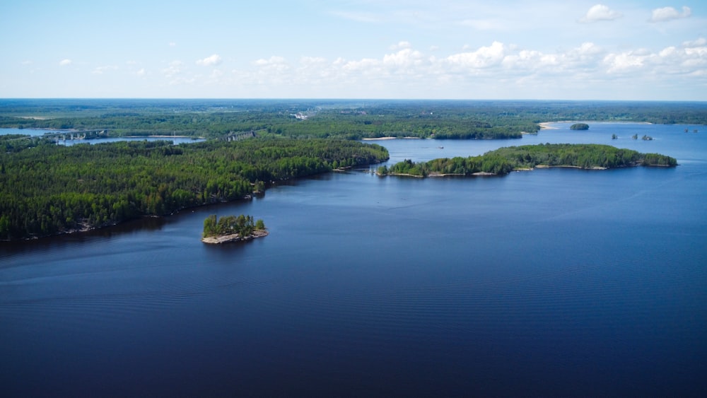 a large body of water surrounded by trees