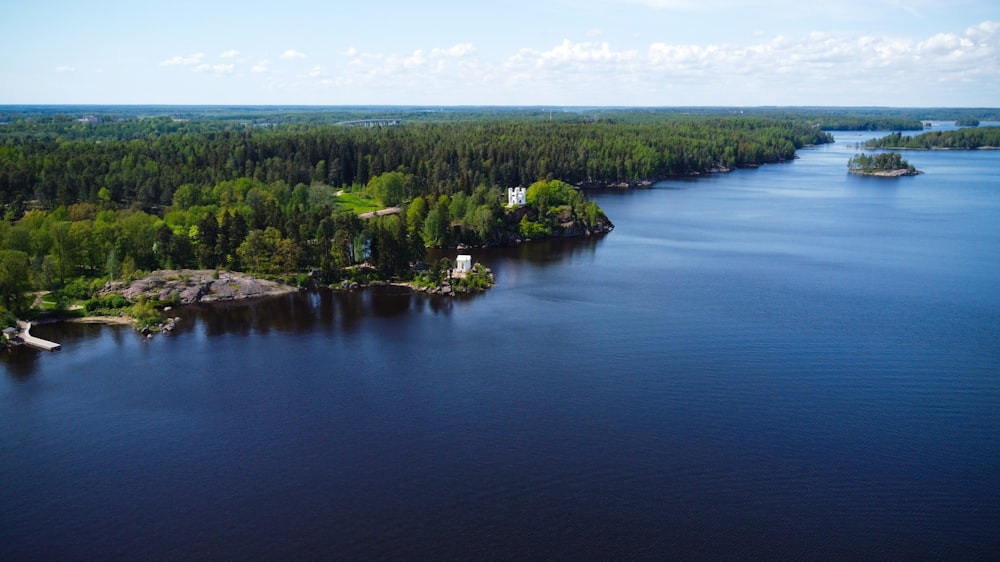 a large body of water surrounded by trees