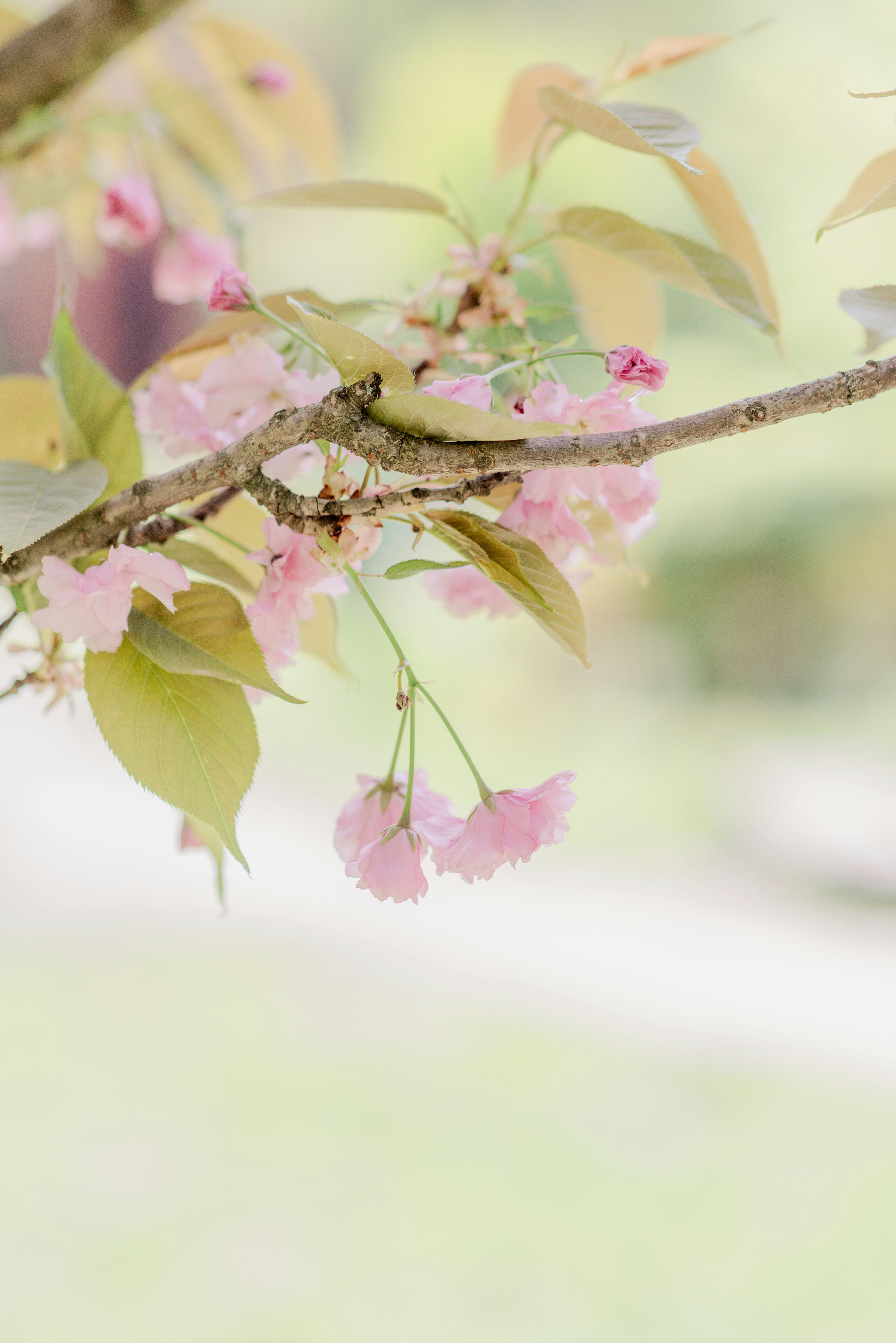 Photo by eugenivy_now