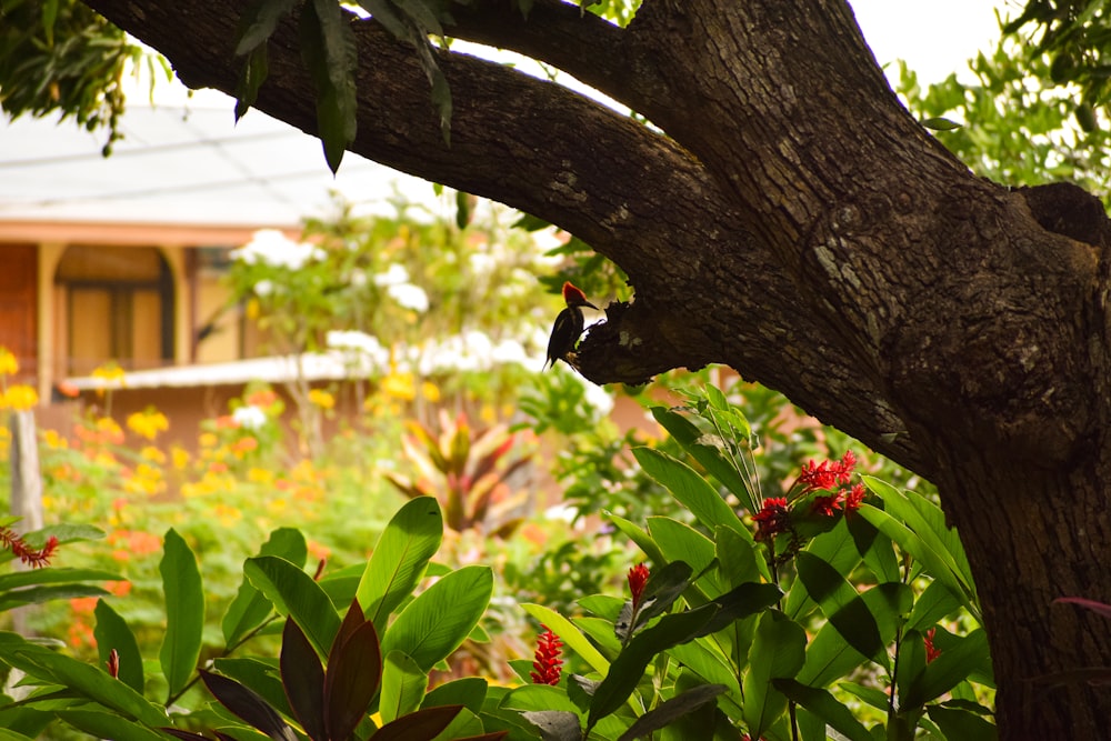 a bird perched on a tree branch in a garden