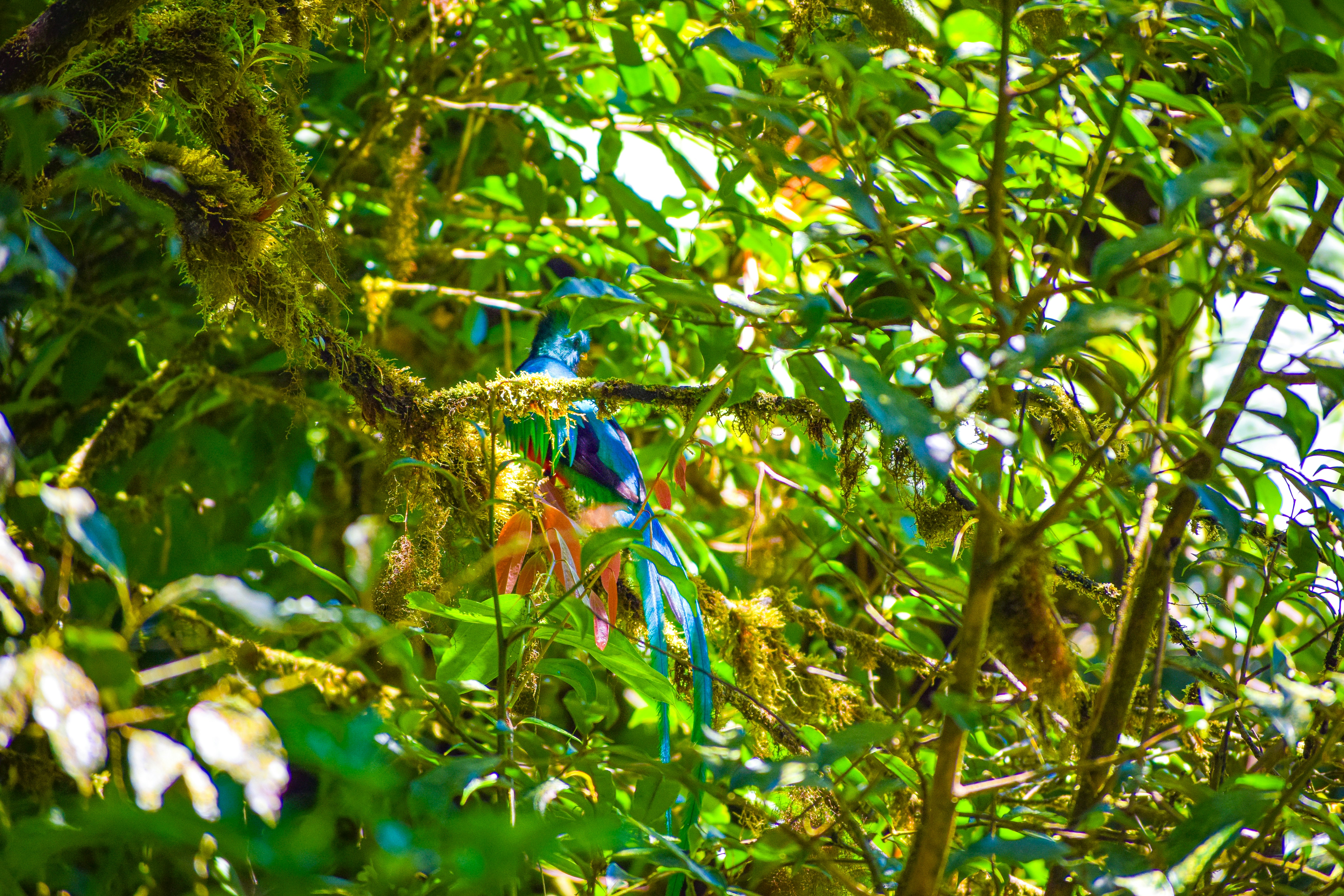 Photo by cookieclairebear