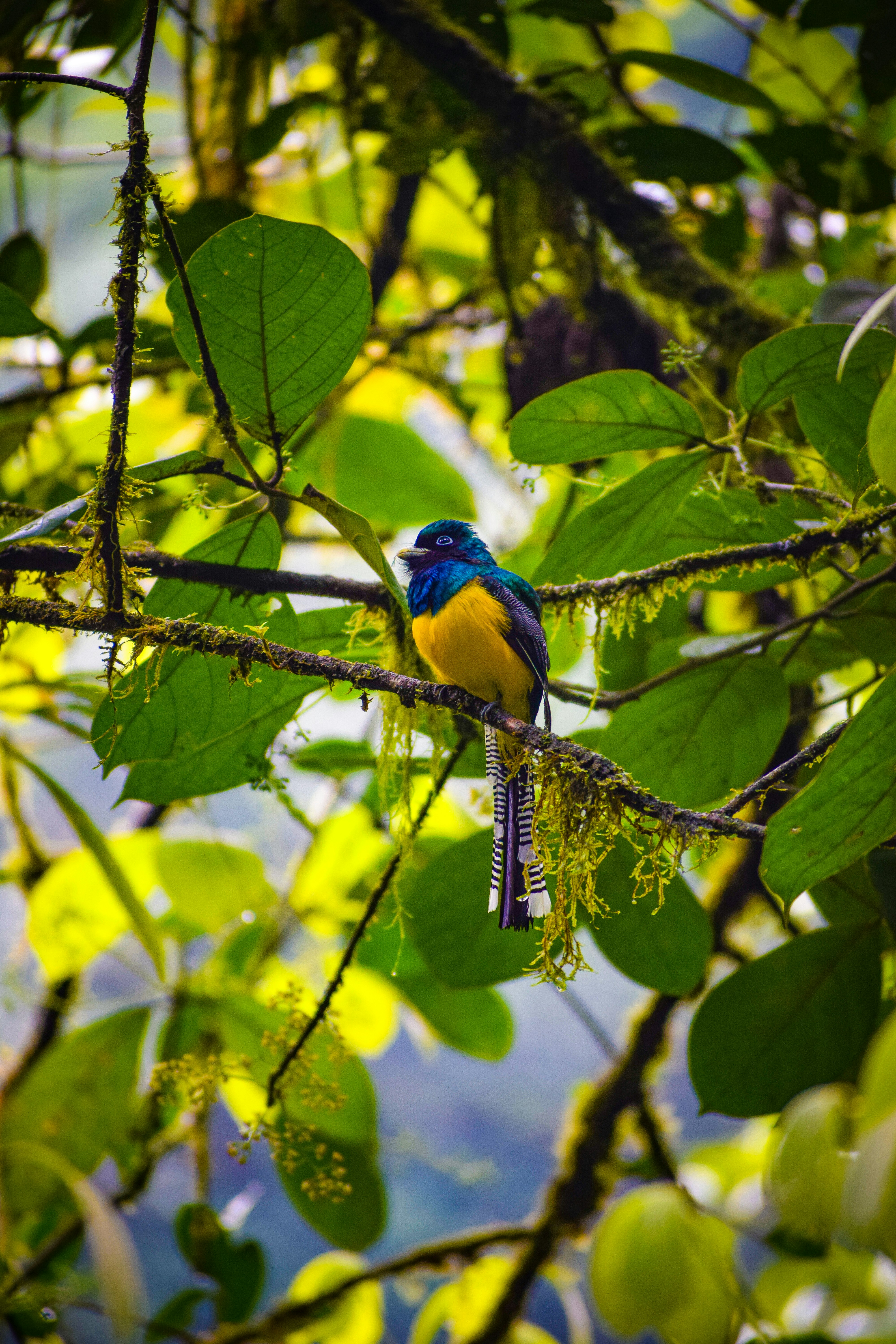 Photo by cookieclairebear