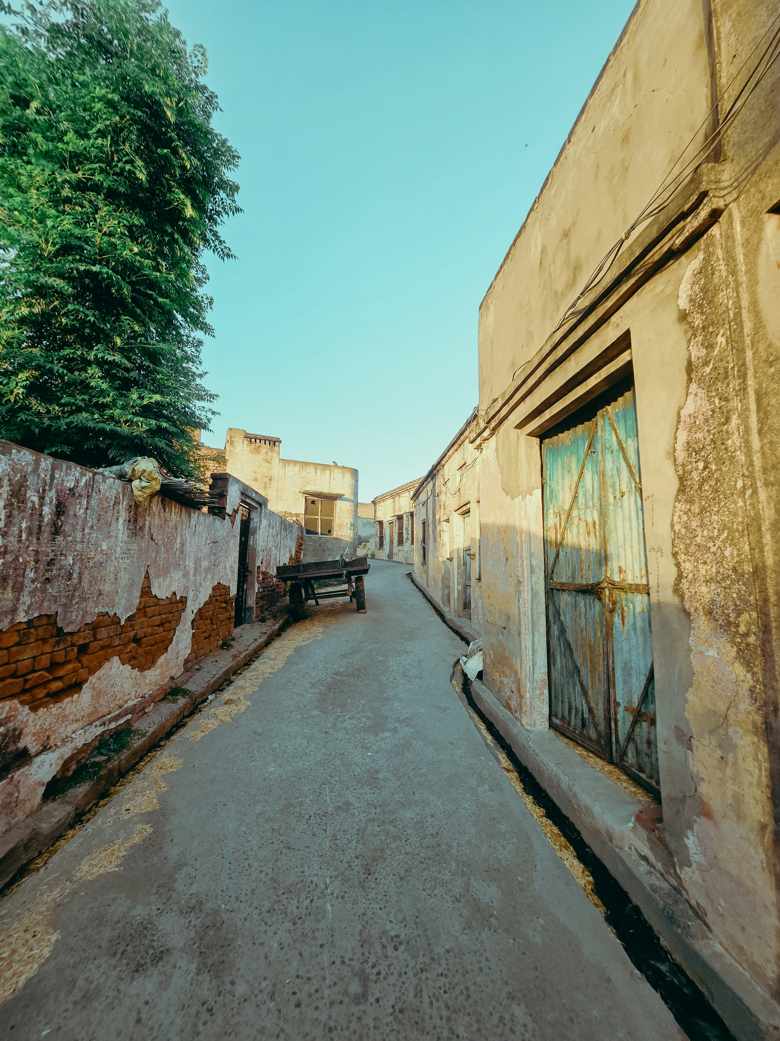 Photo by yuvraj_2002___