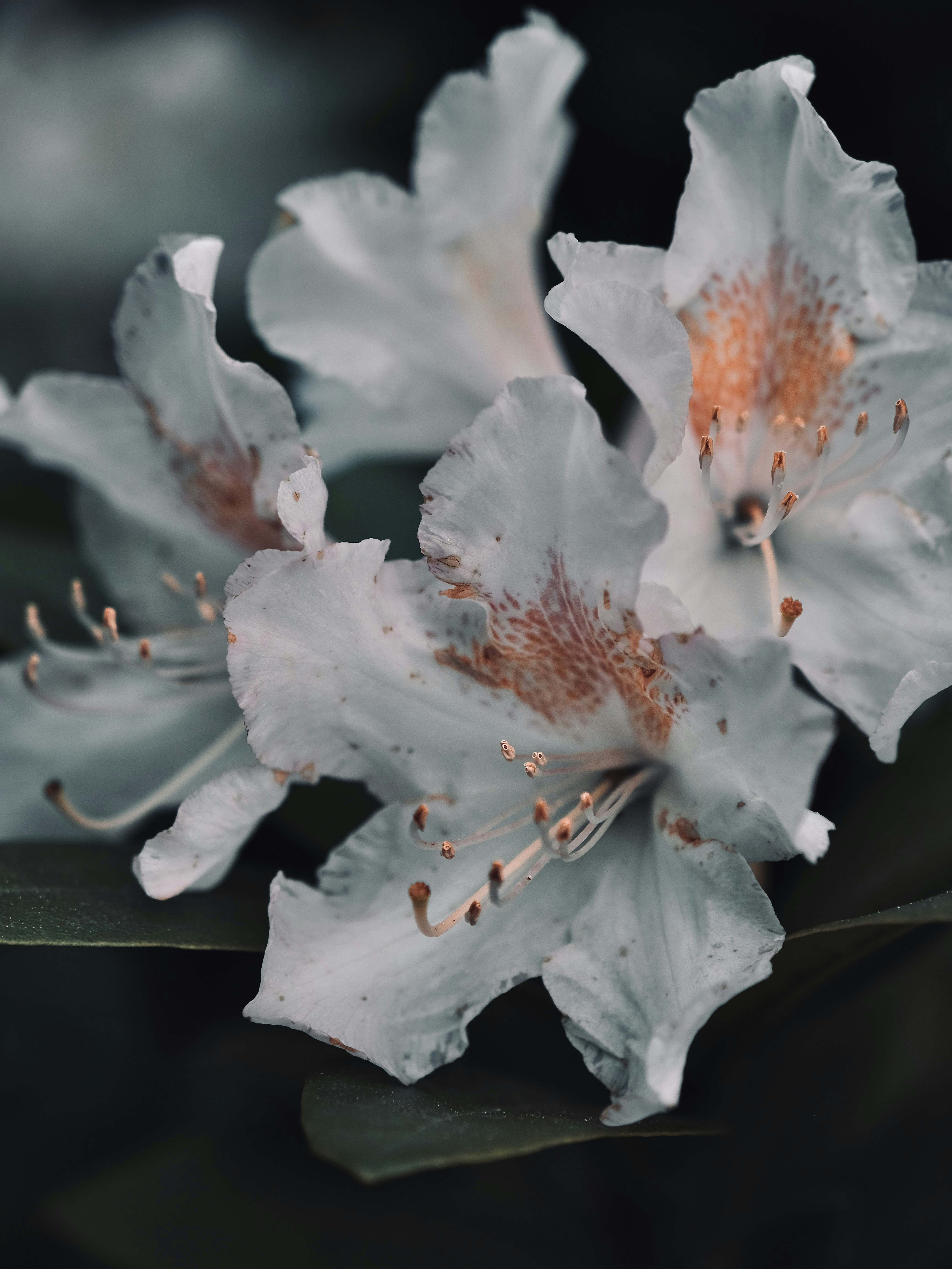 Photo by mkrawczynski