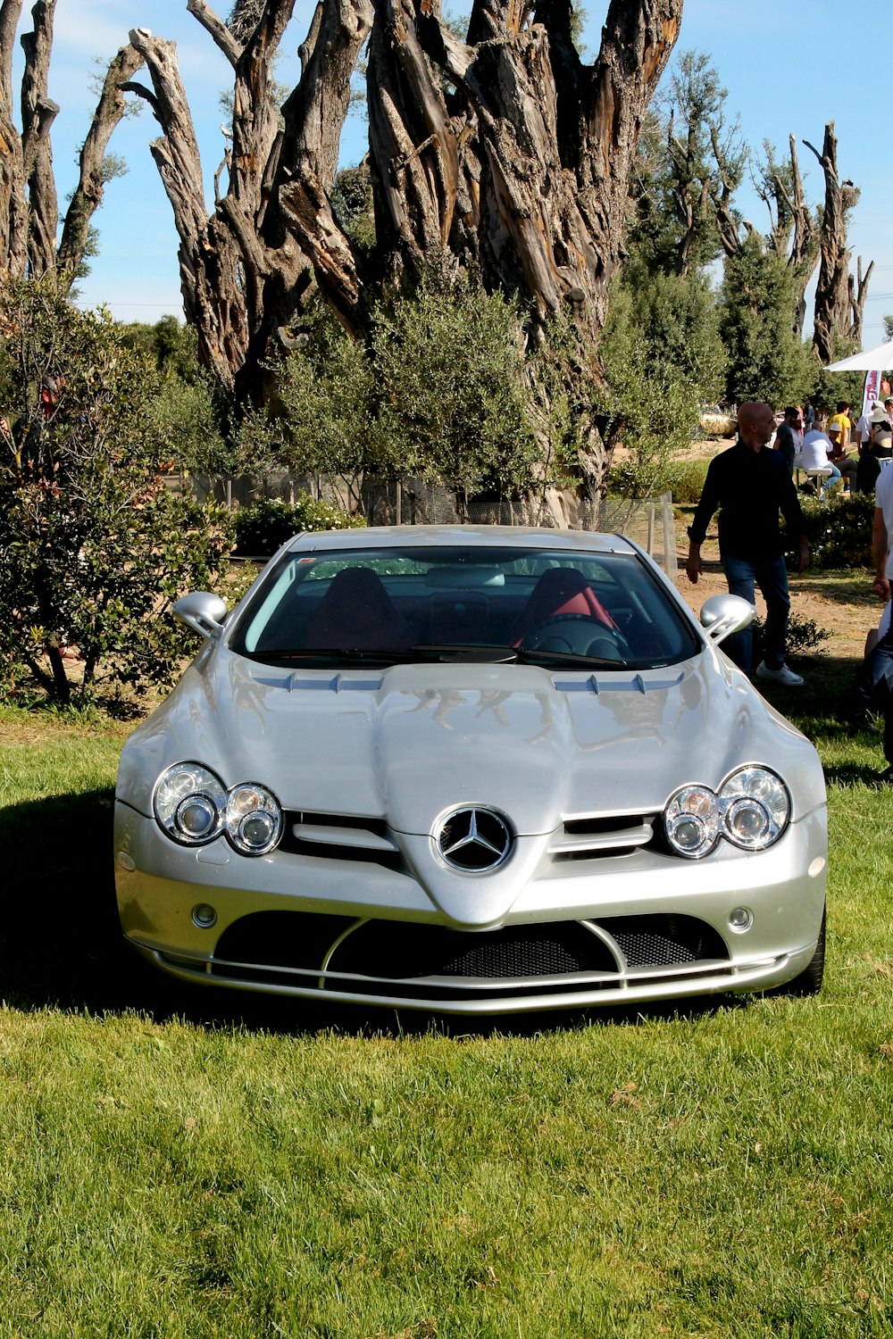 a silver sports car parked in the grass