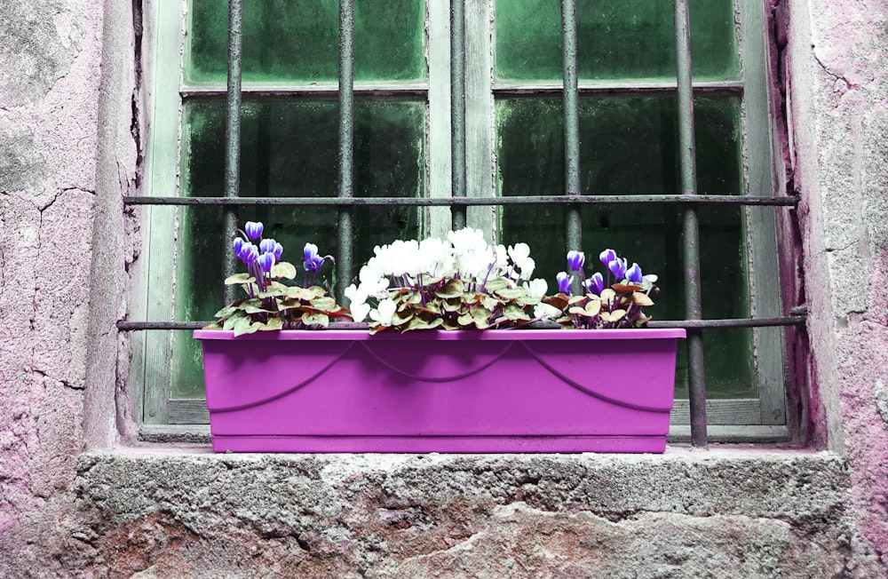 a purple window box with flowers in it