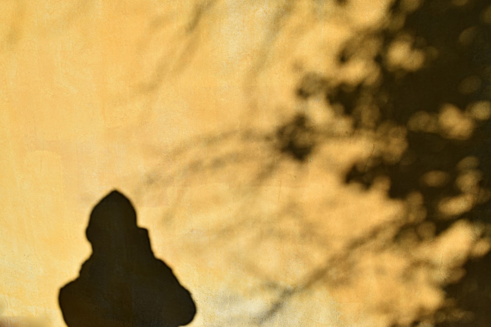 a shadow of a person holding a skateboard