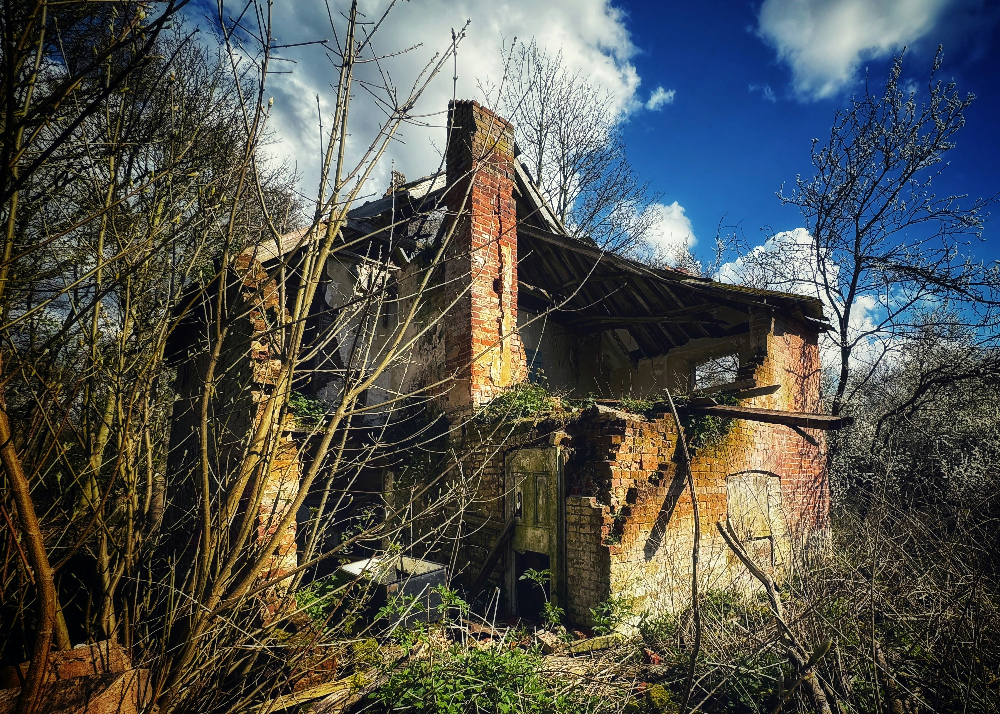 an old run down house in the woods