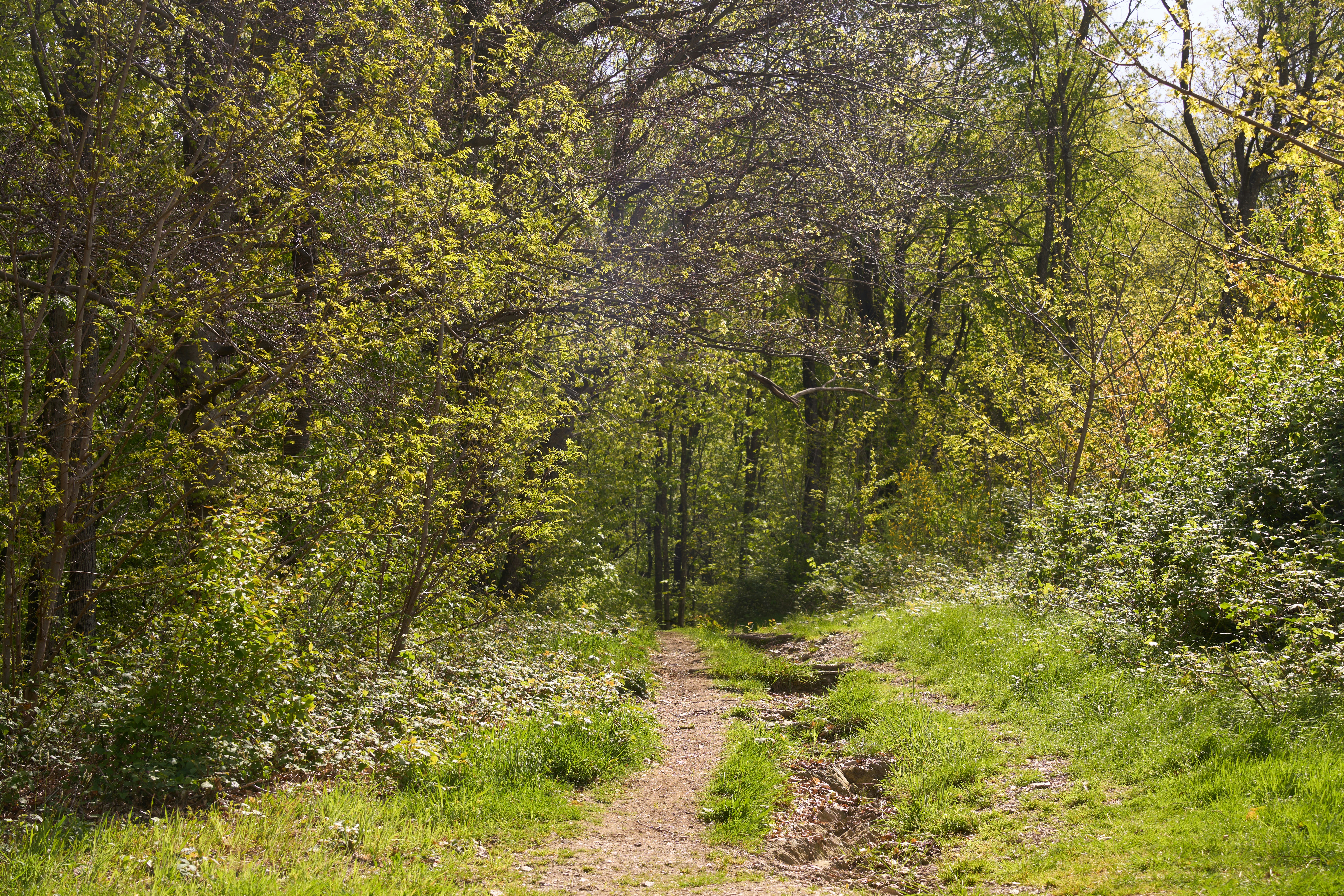 Photo by wolfgang_hasselmann