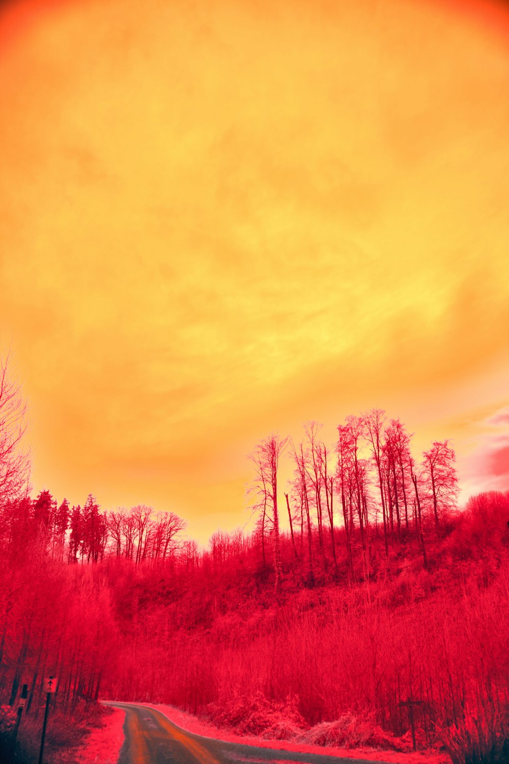 a red and yellow sky over a dirt road