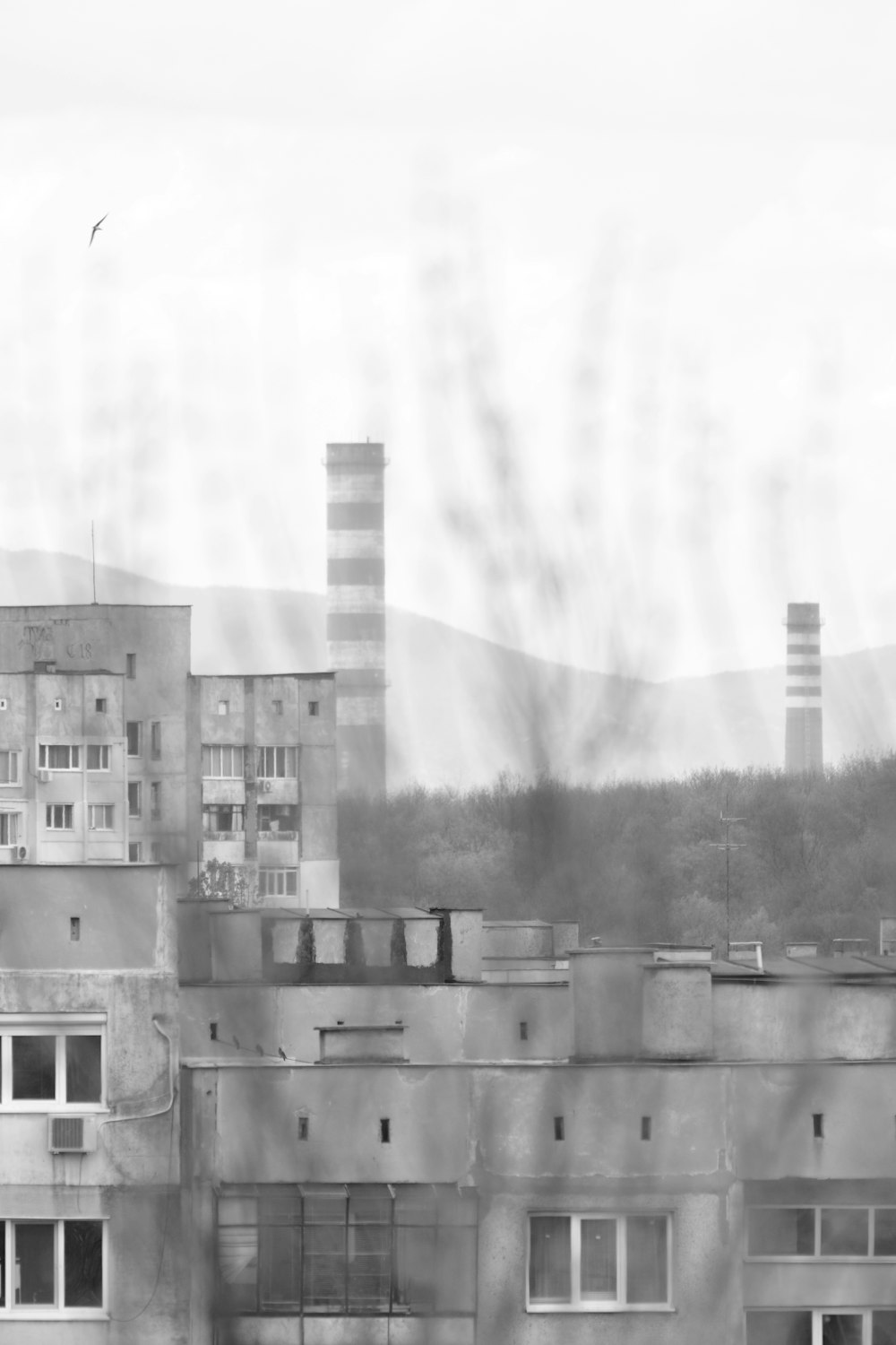 a black and white photo of a building