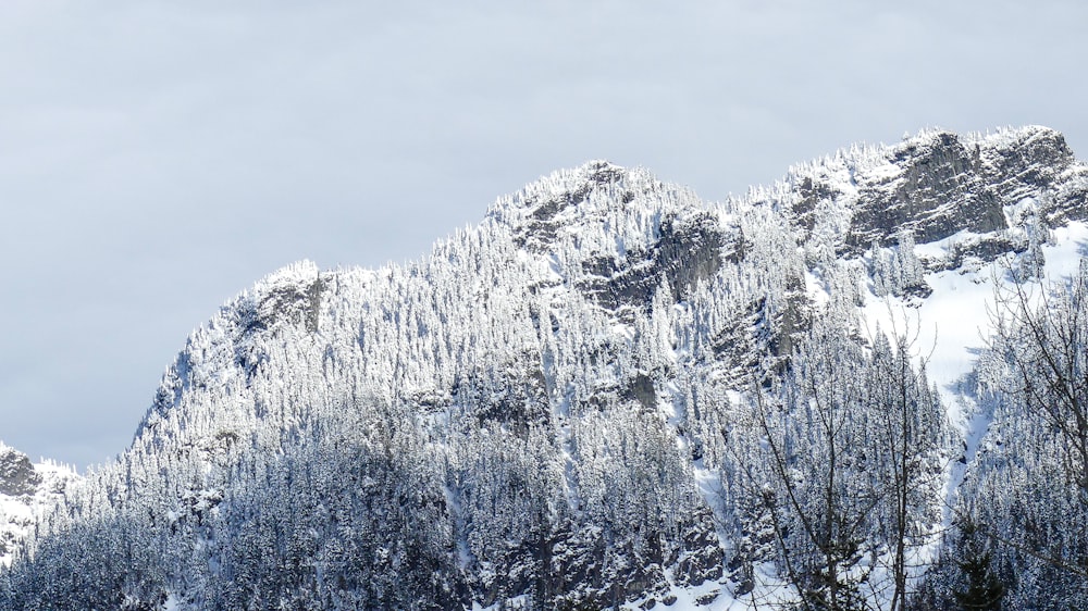 a mountain covered in snow with trees in the foreground