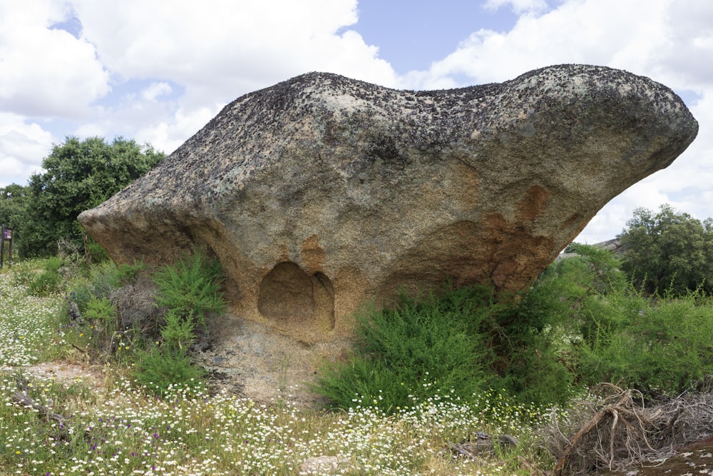 a large rock sitting in the middle of a field