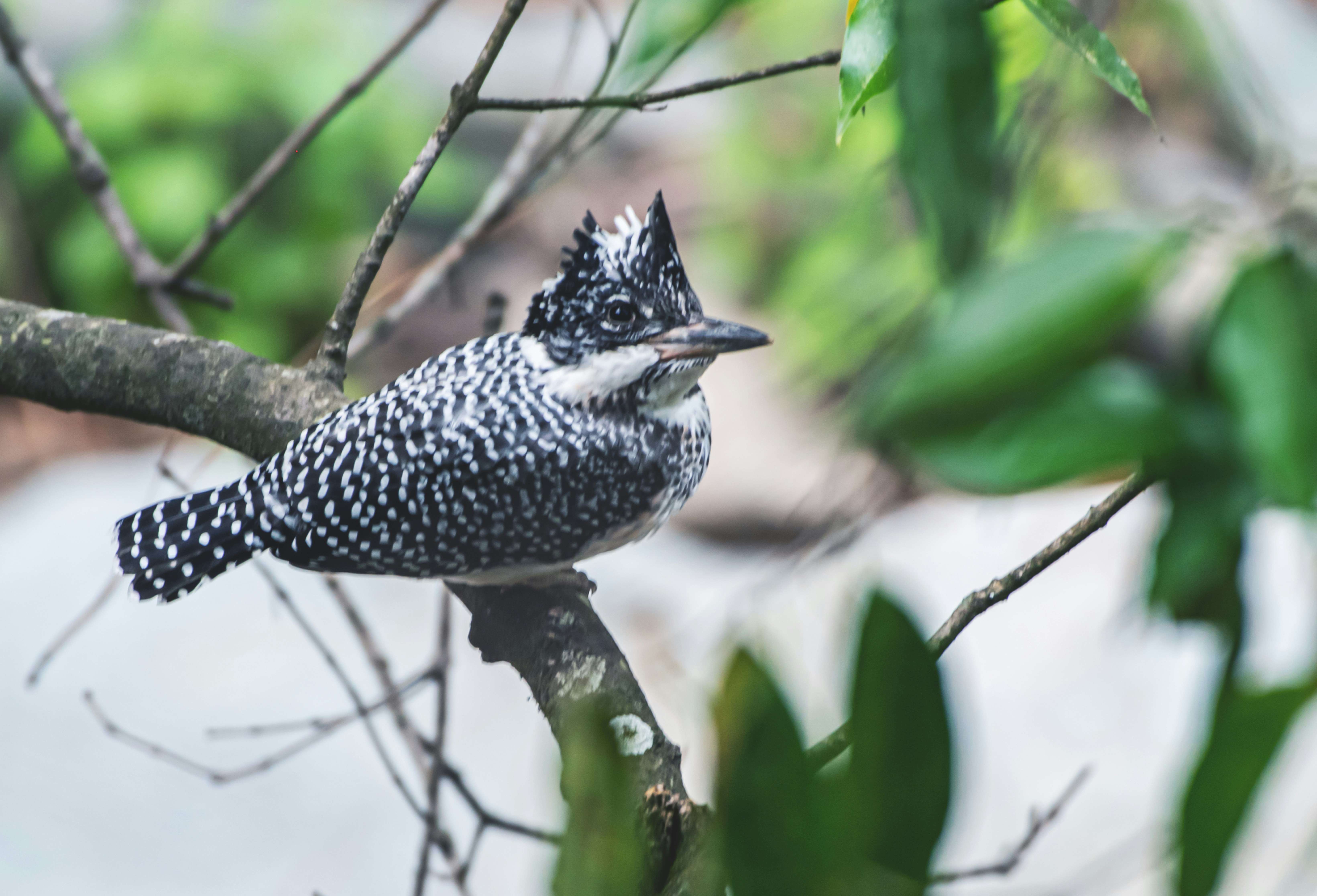 Photo by mhphotography13