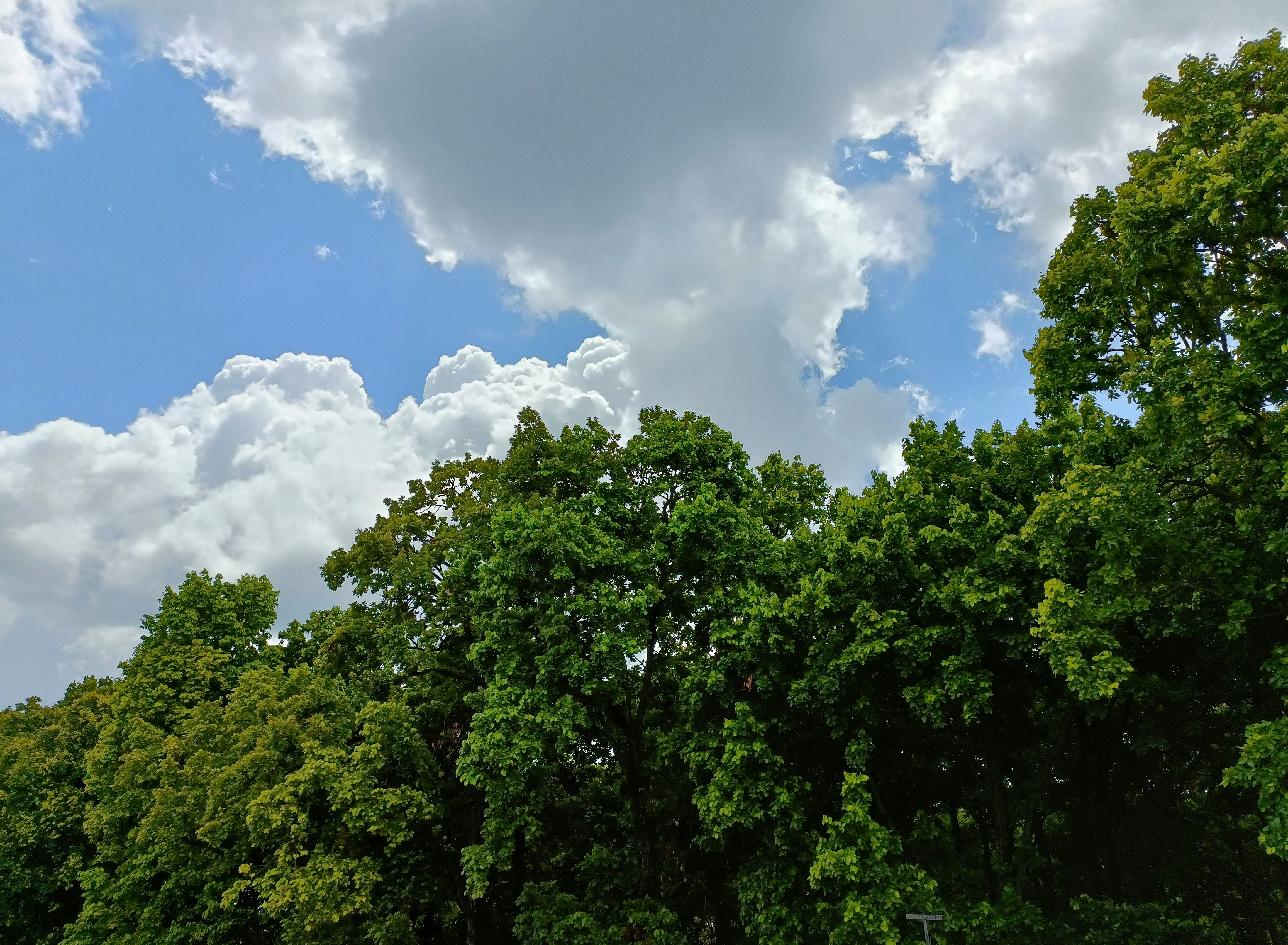 Photo by pranav_photos