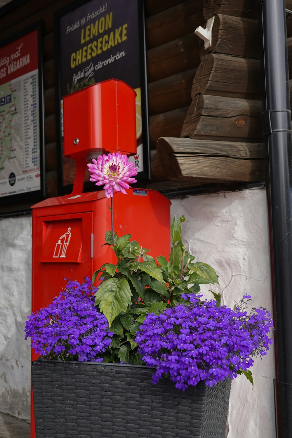 a red mailbox sitting next to a purple flower