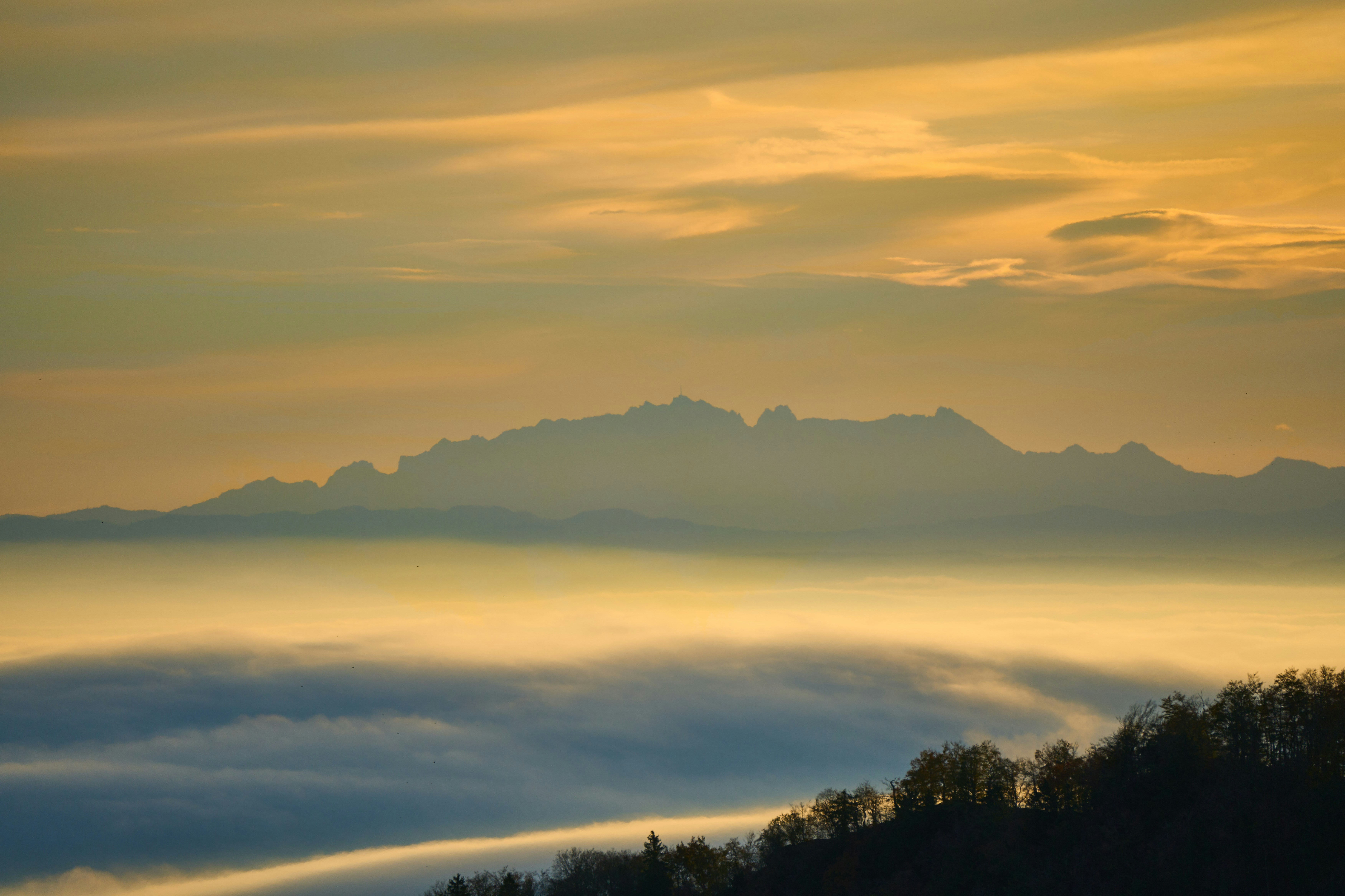 Photo by wolfgang_hasselmann