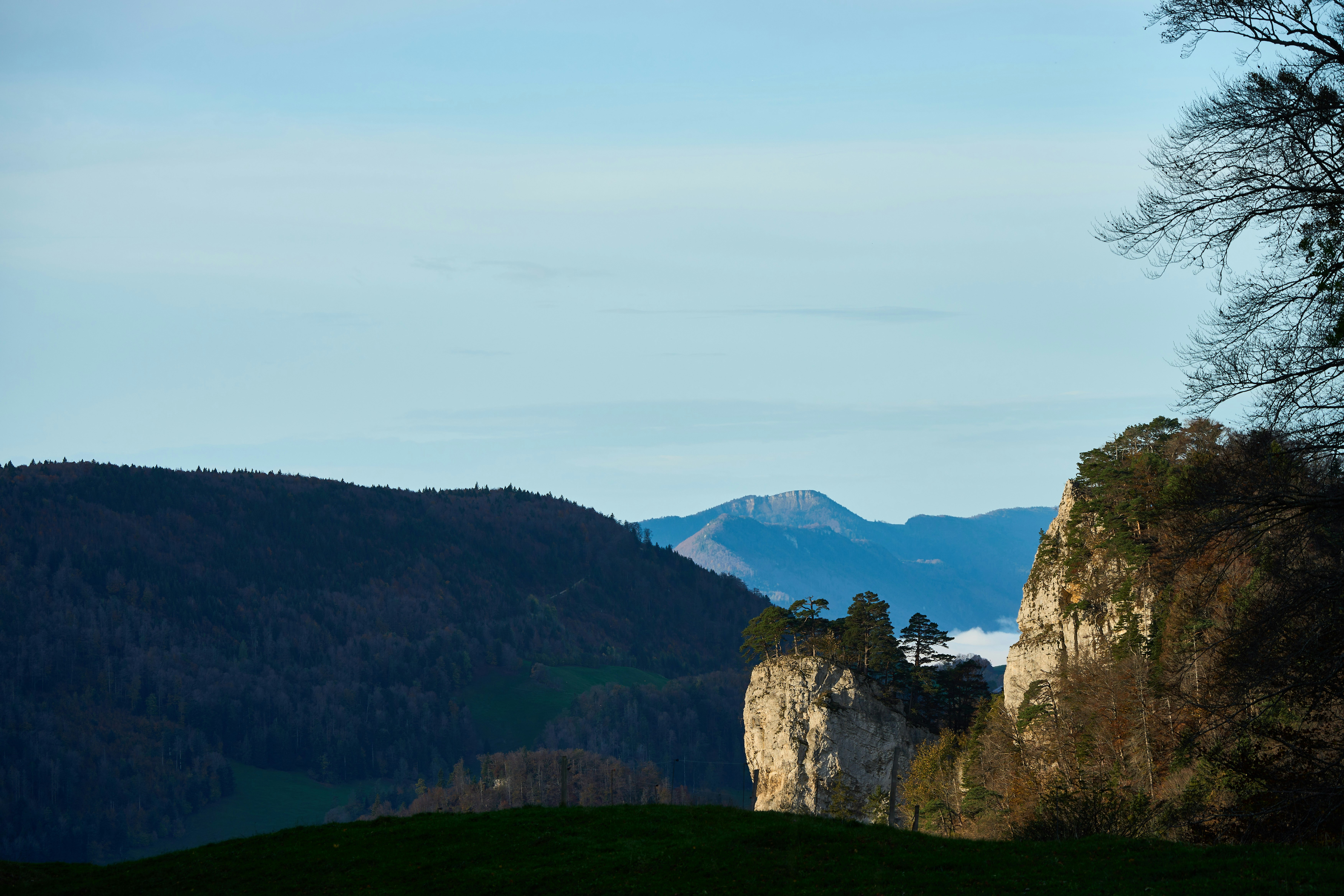 Photo by wolfgang_hasselmann