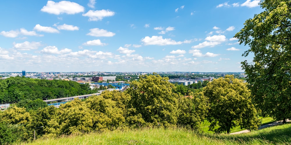 a scenic view of a city from a hill