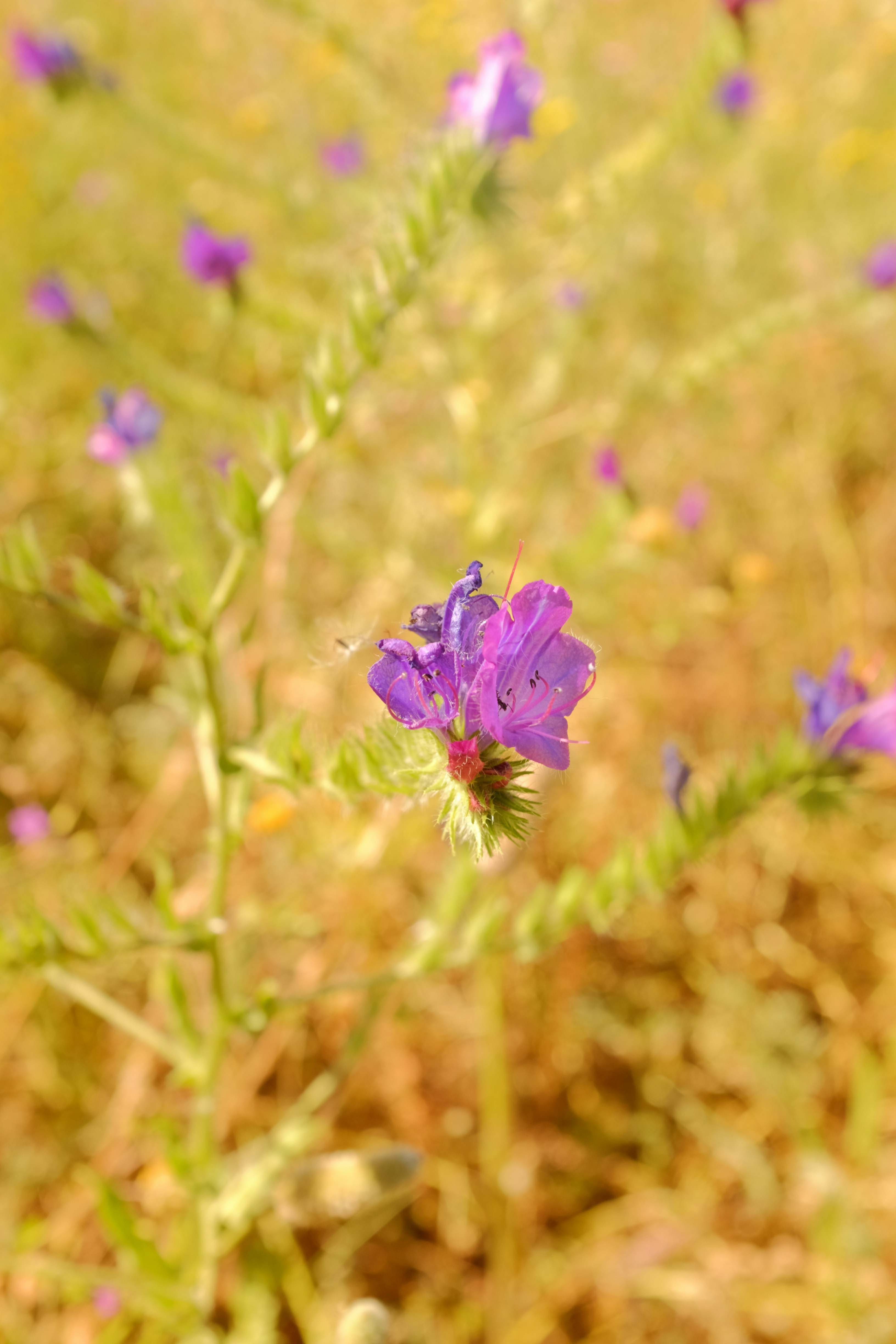 Photo by theurbanarab