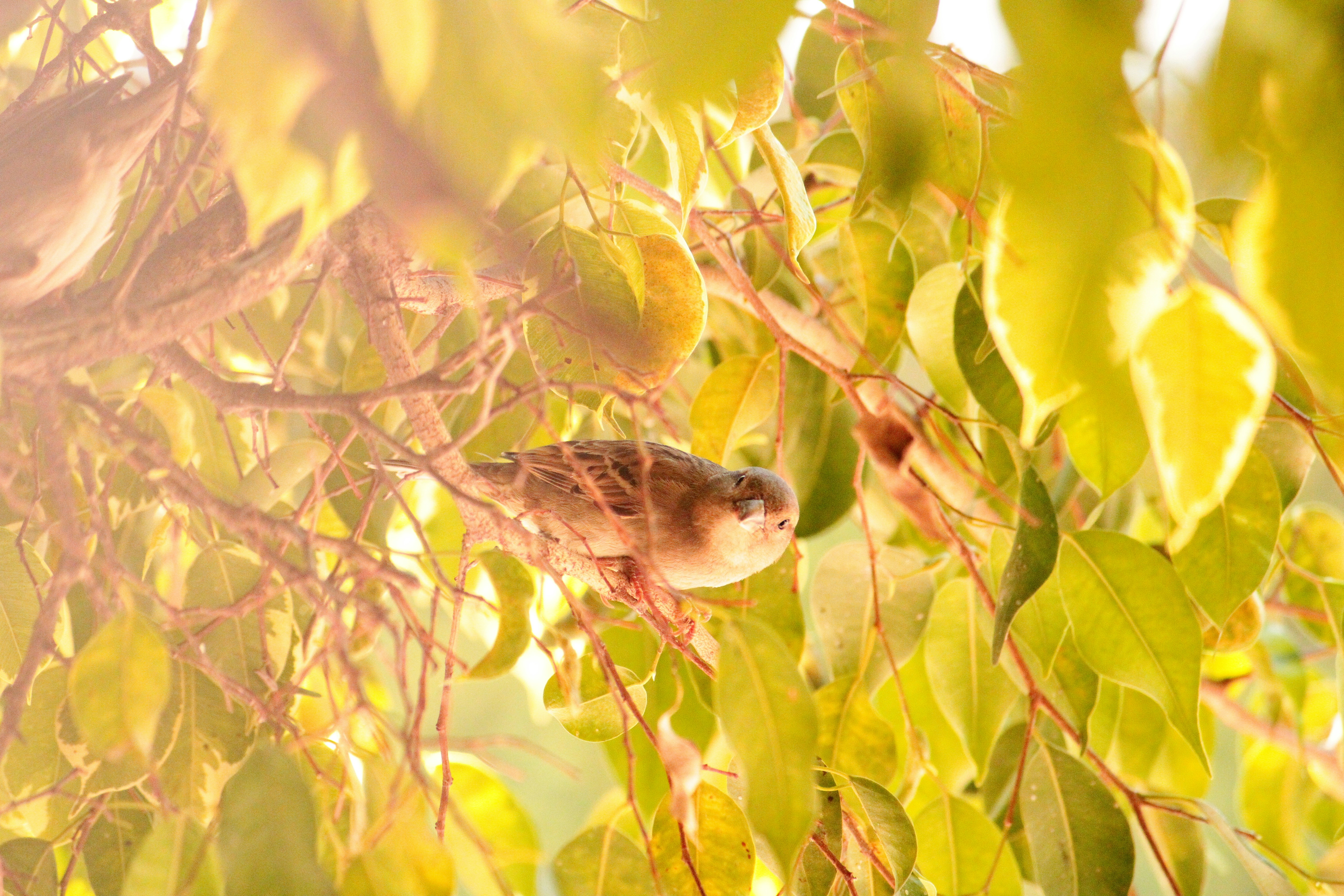 Photo by iamblondfox