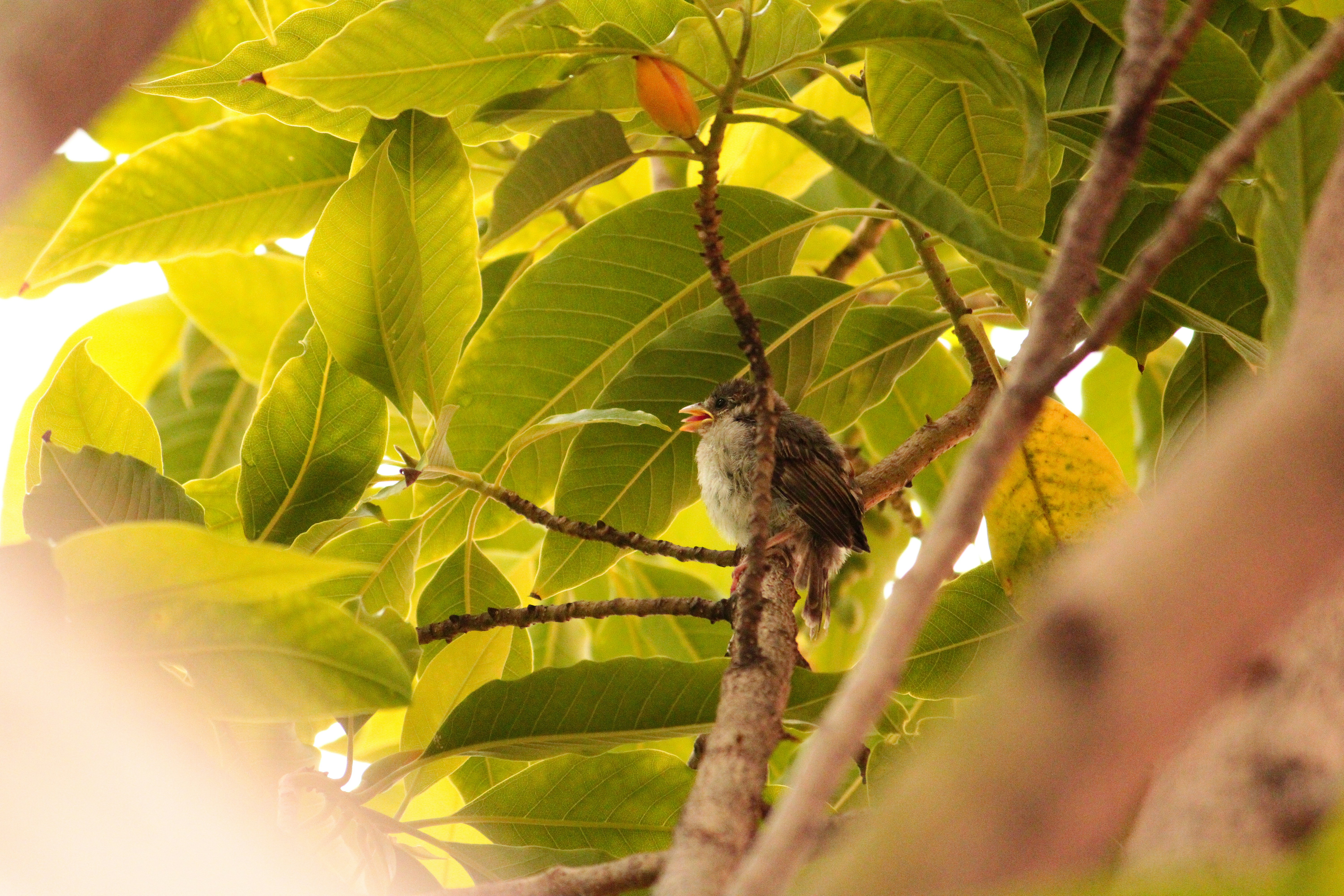 Photo by iamblondfox