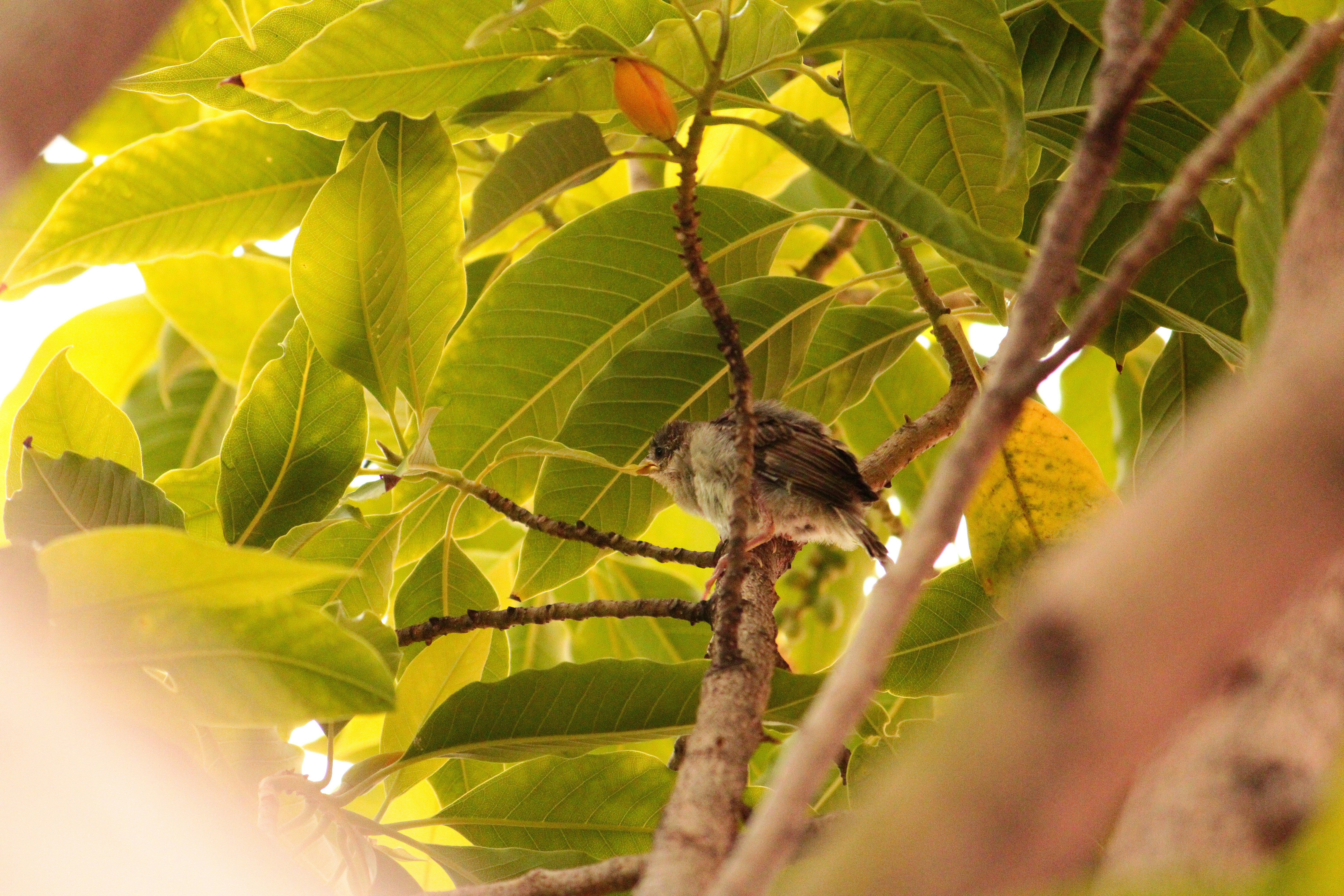 Photo by iamblondfox