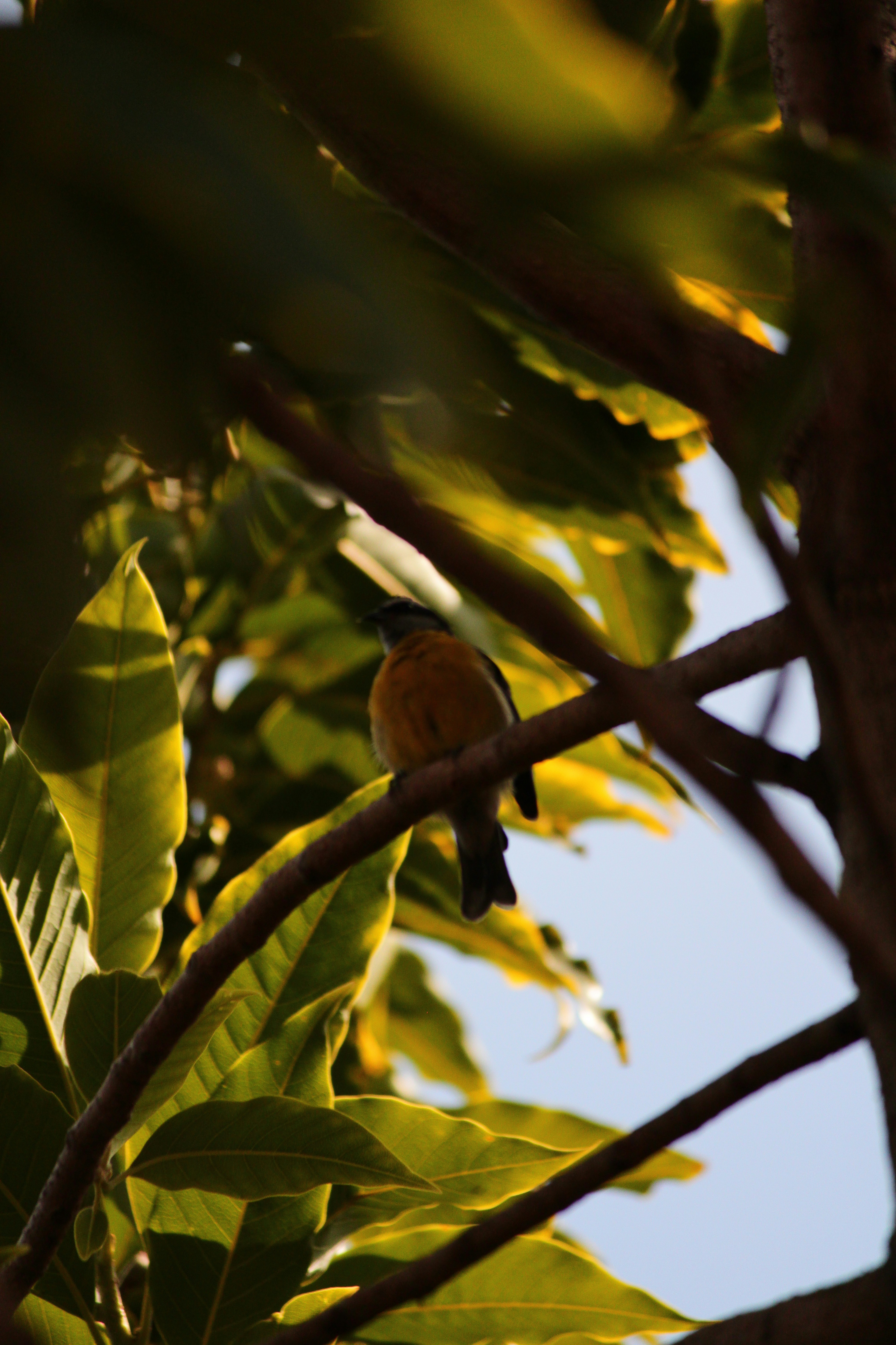 Photo by iamblondfox