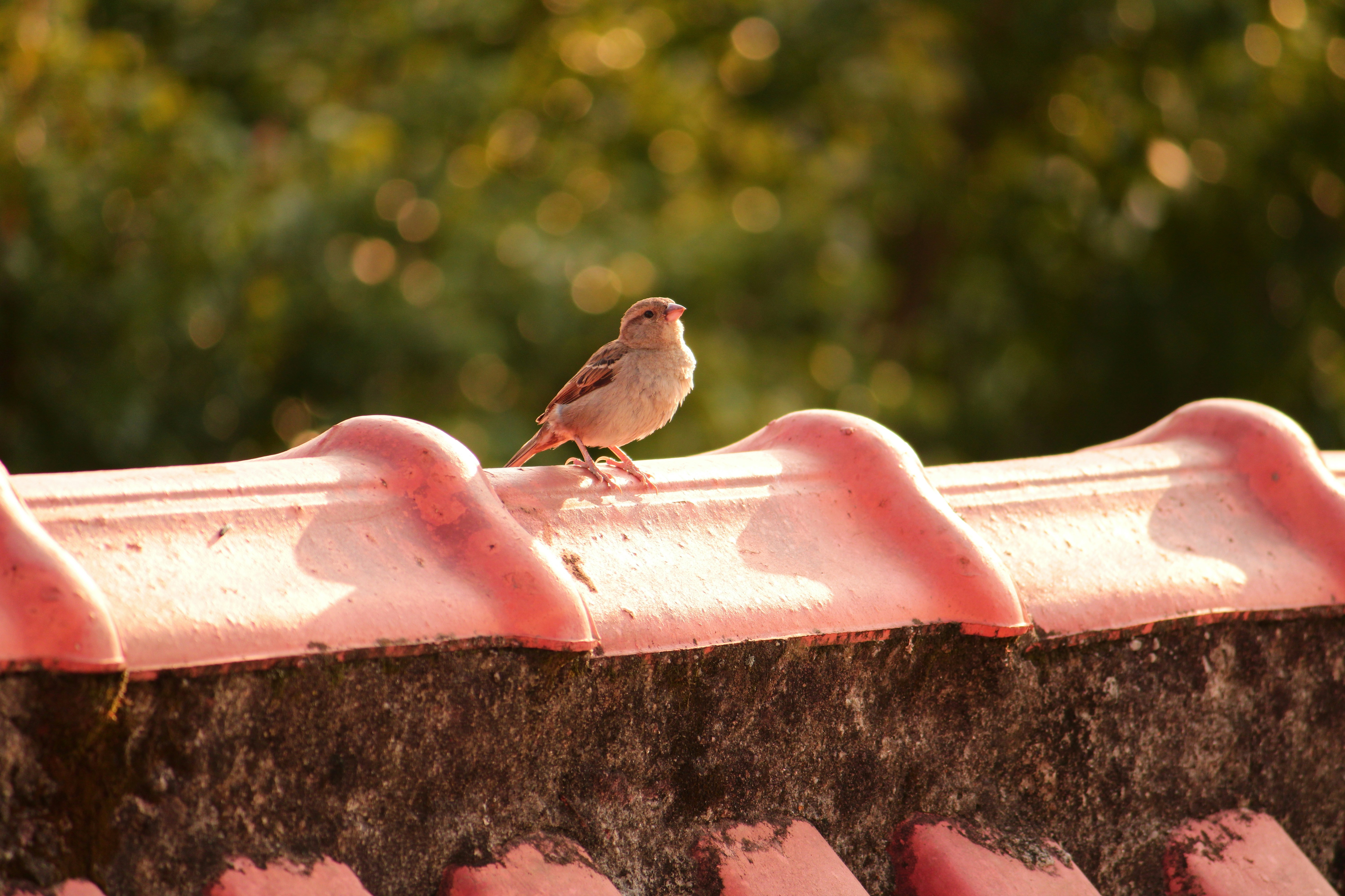 Photo by iamblondfox