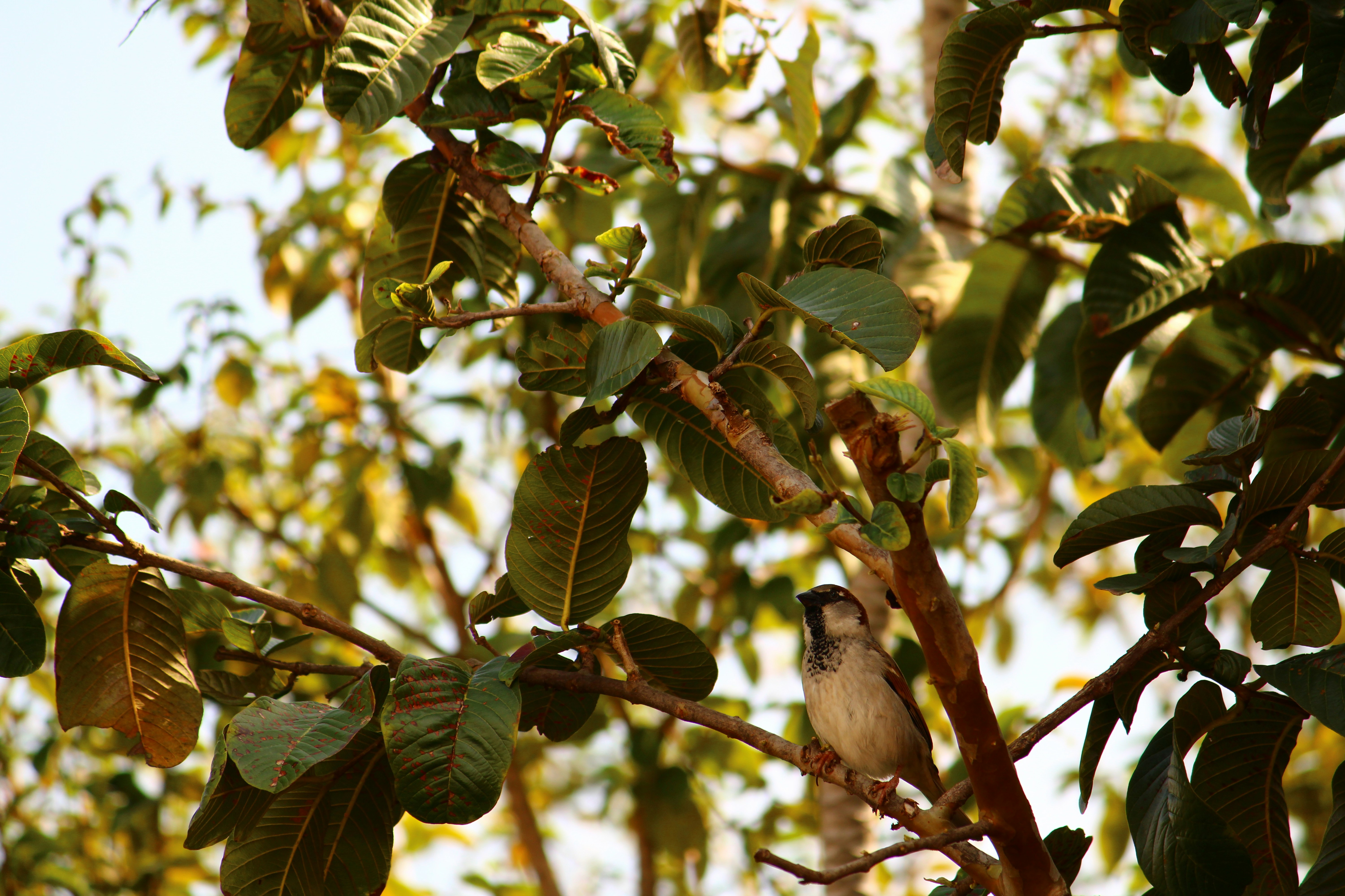 Photo by iamblondfox