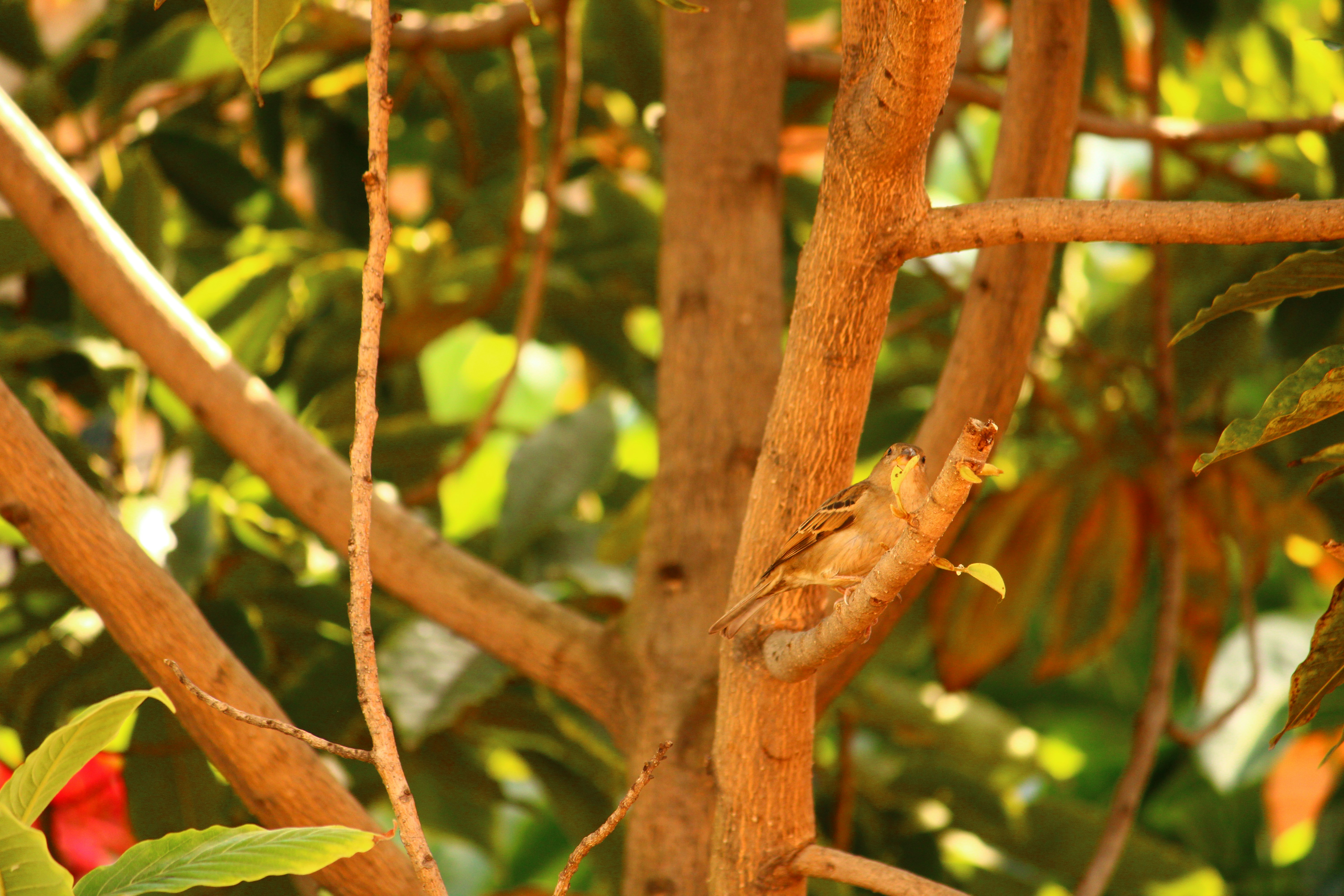 Photo by iamblondfox