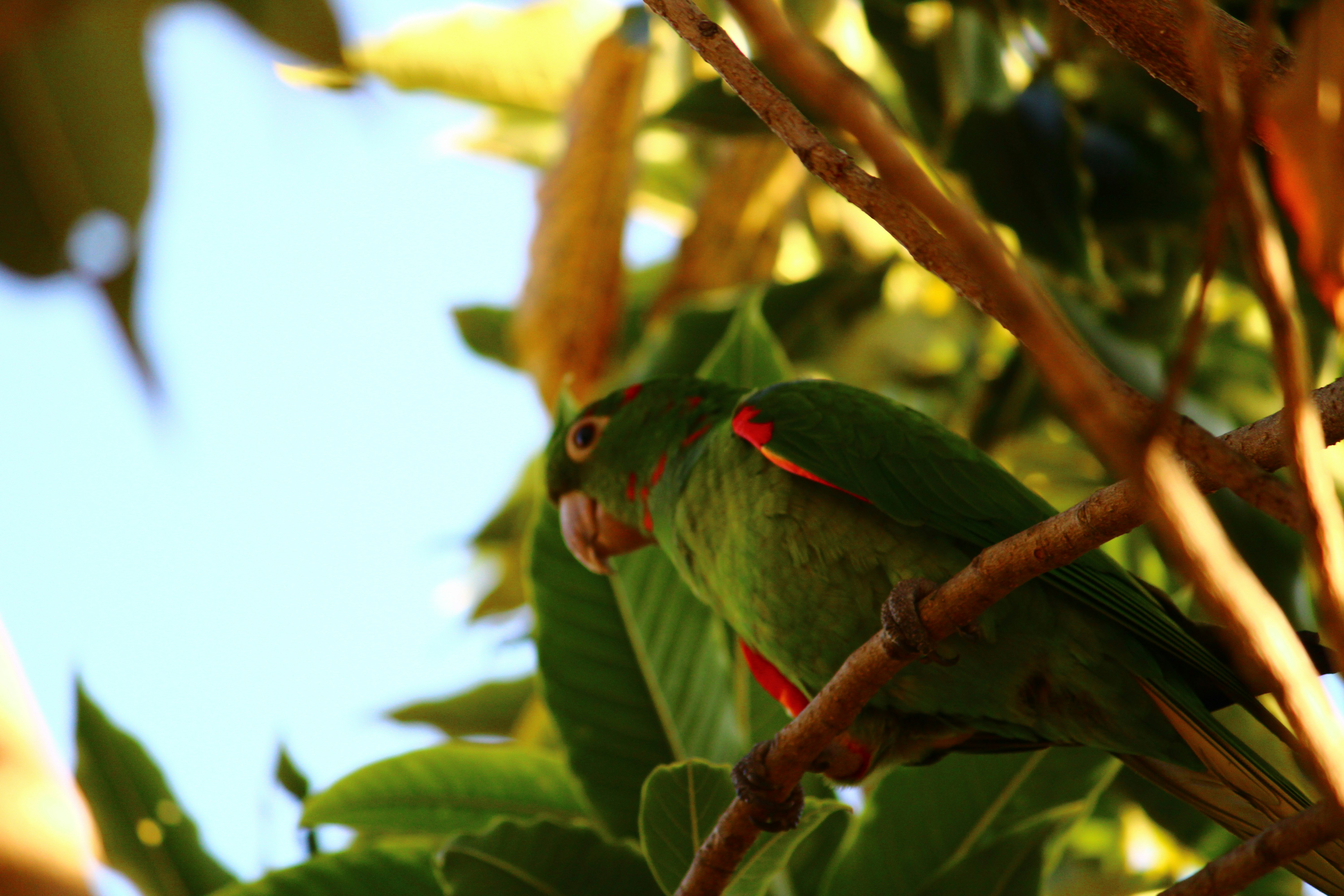 Photo by iamblondfox