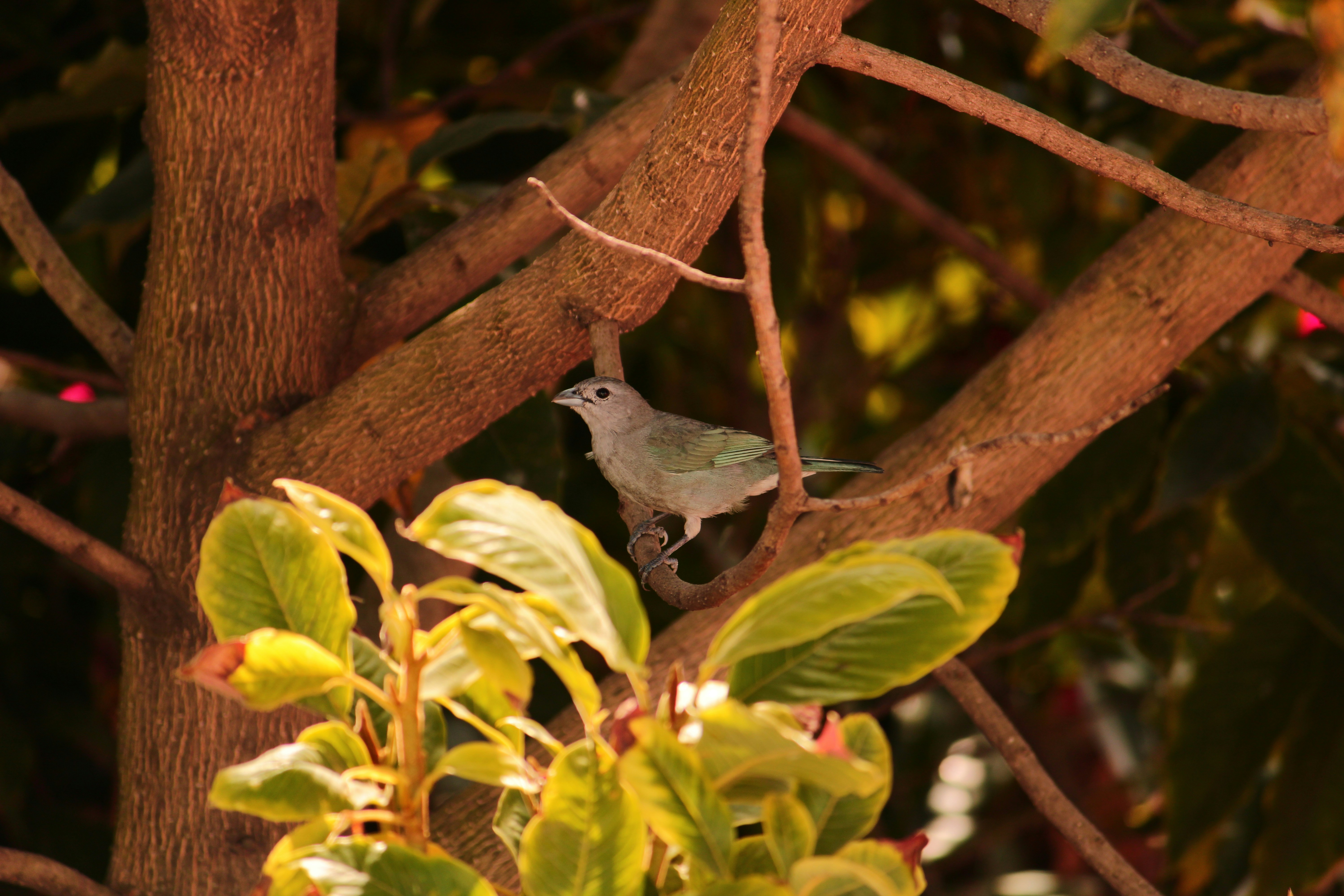 Photo by iamblondfox