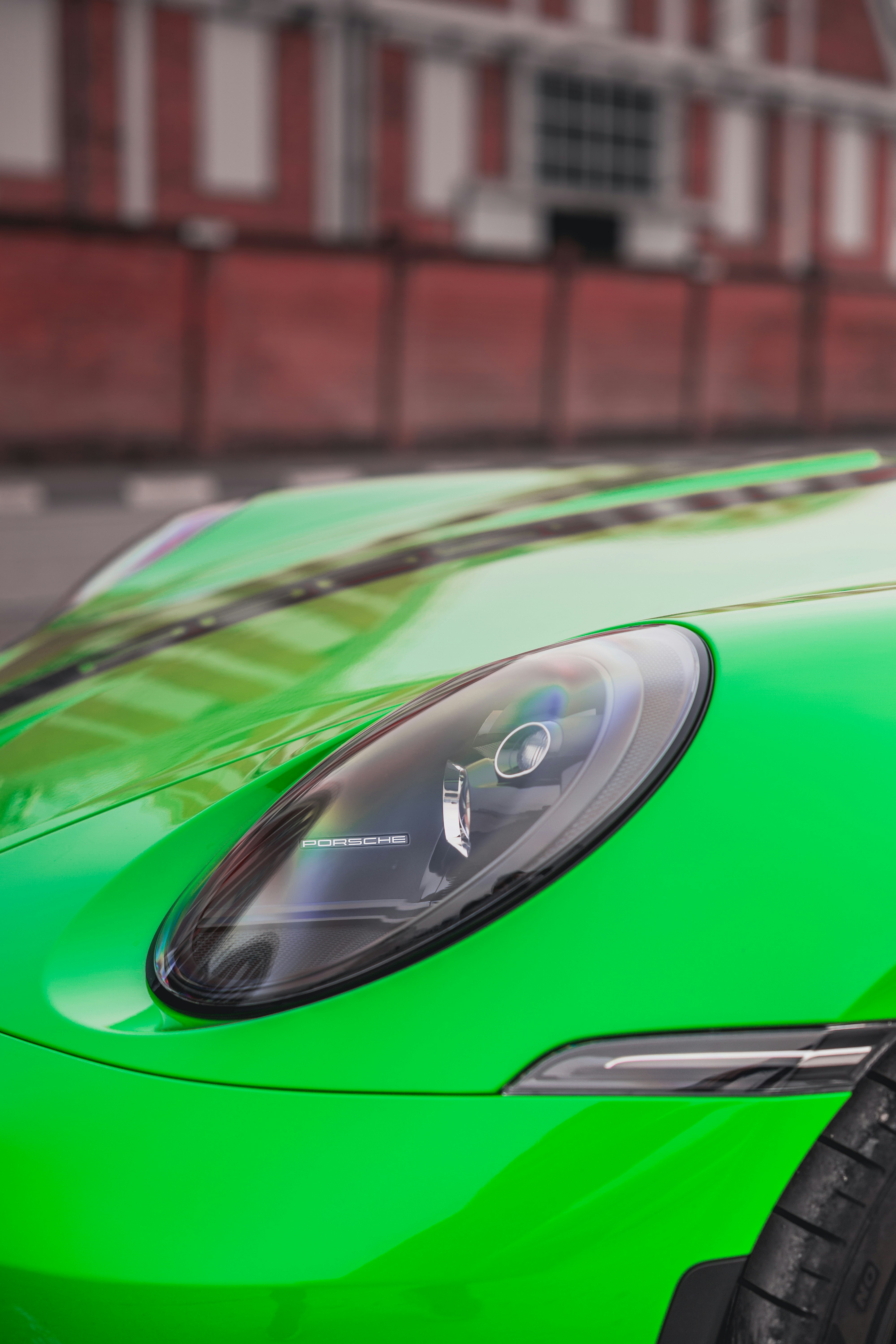 Photo by romanellophotos