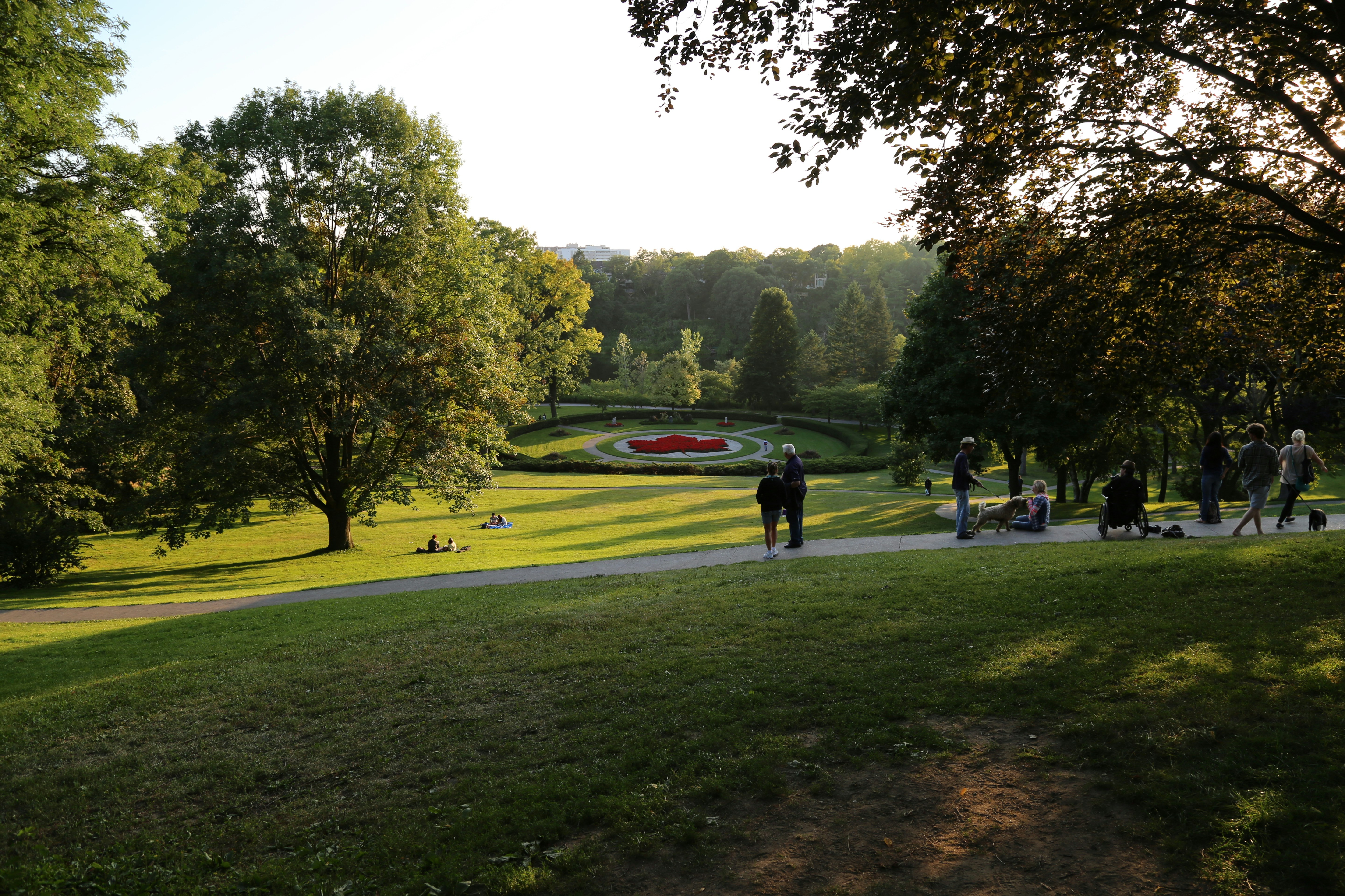 woman wearing yellow long-sleeved dress under white clouds and blue sky during daytime