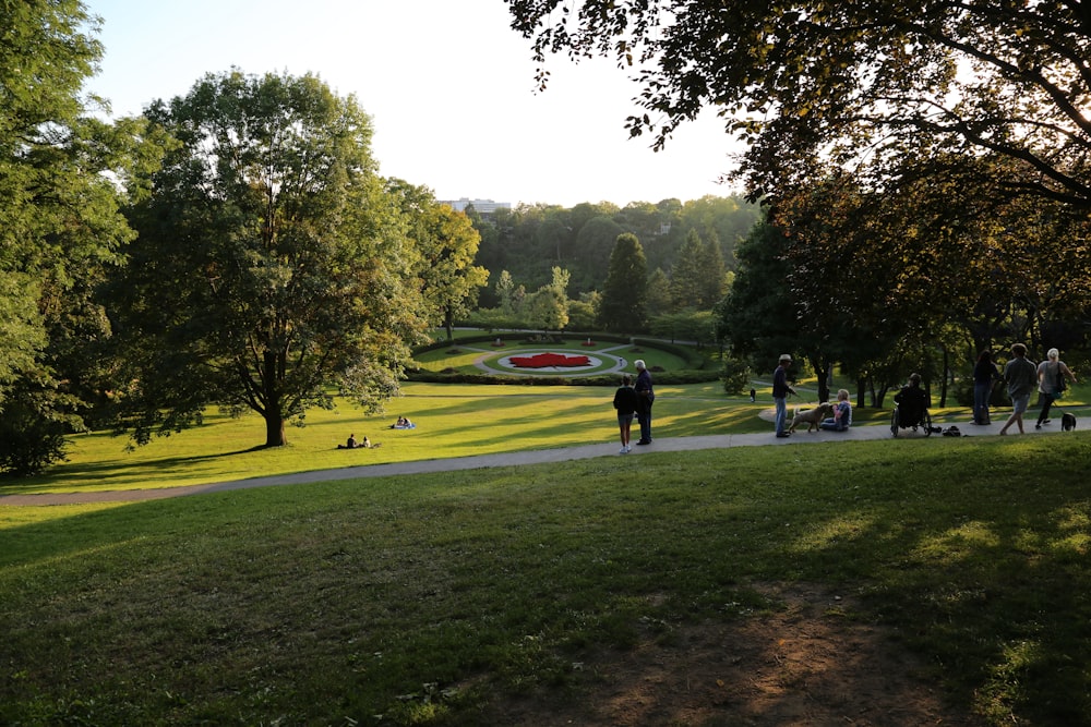 a group of people walking around a lush green park