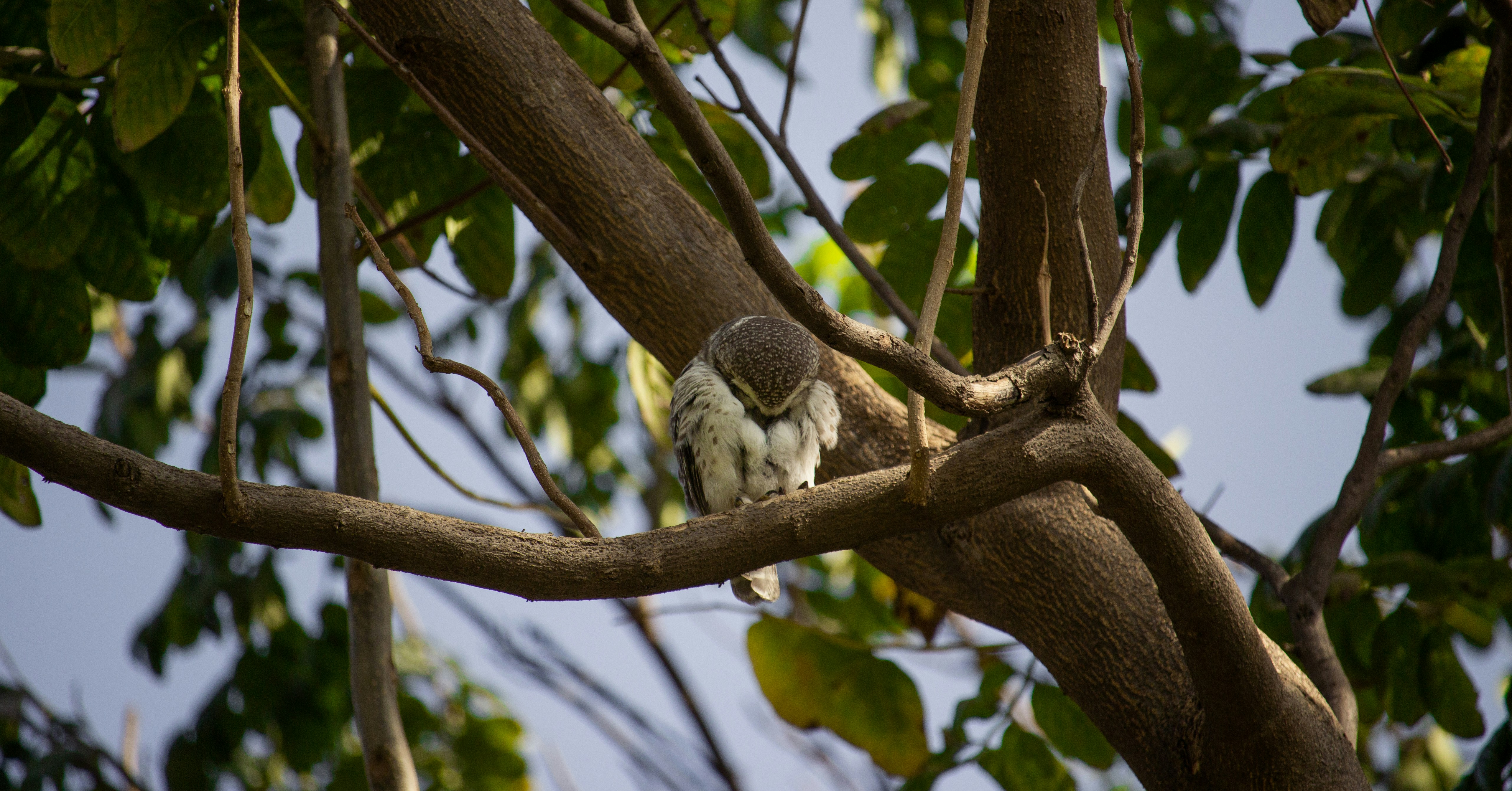 Photo by manan_chhabhaya