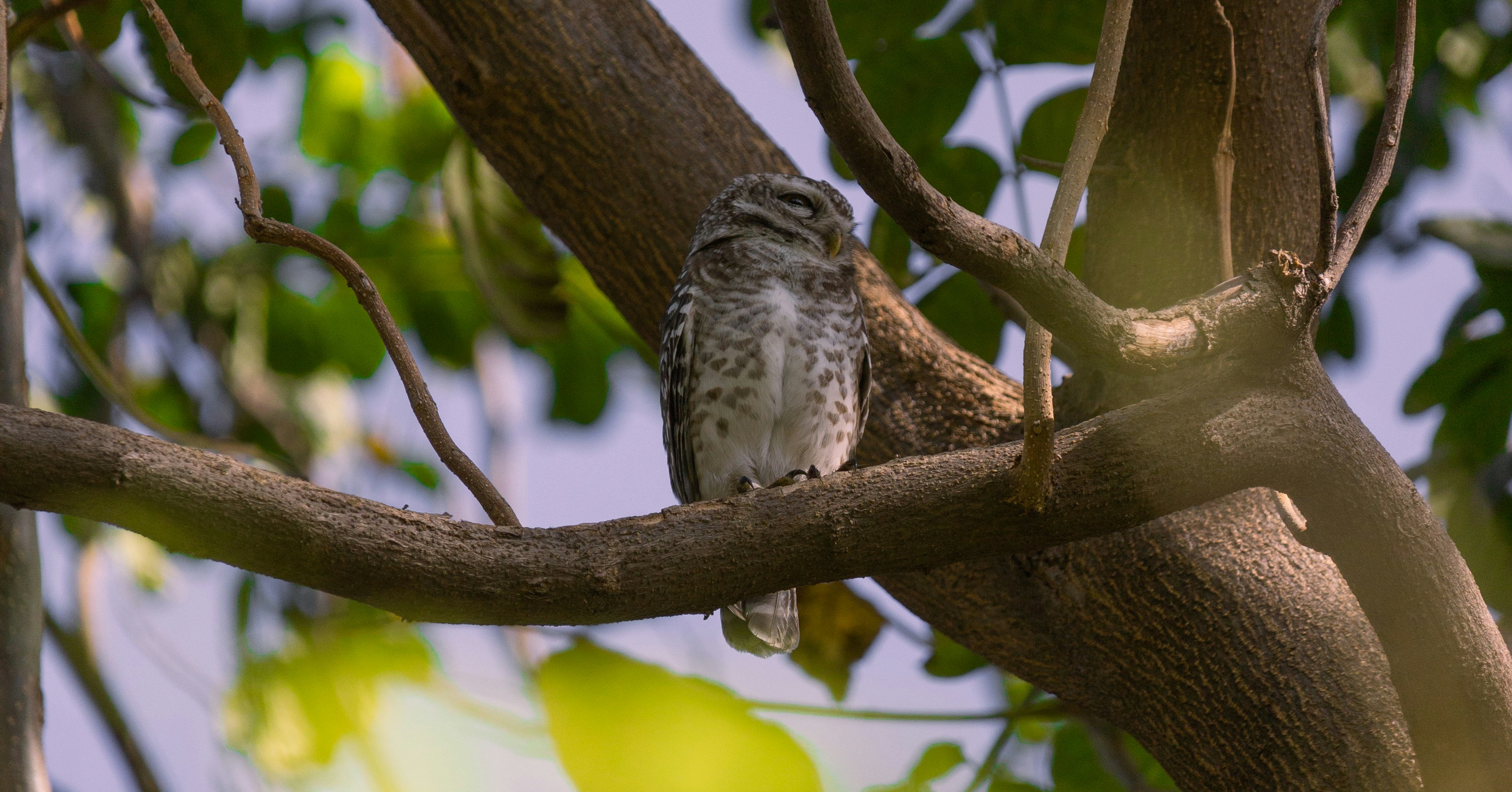 Photo by manan_chhabhaya