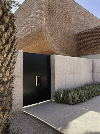 a building with a black door and some plants