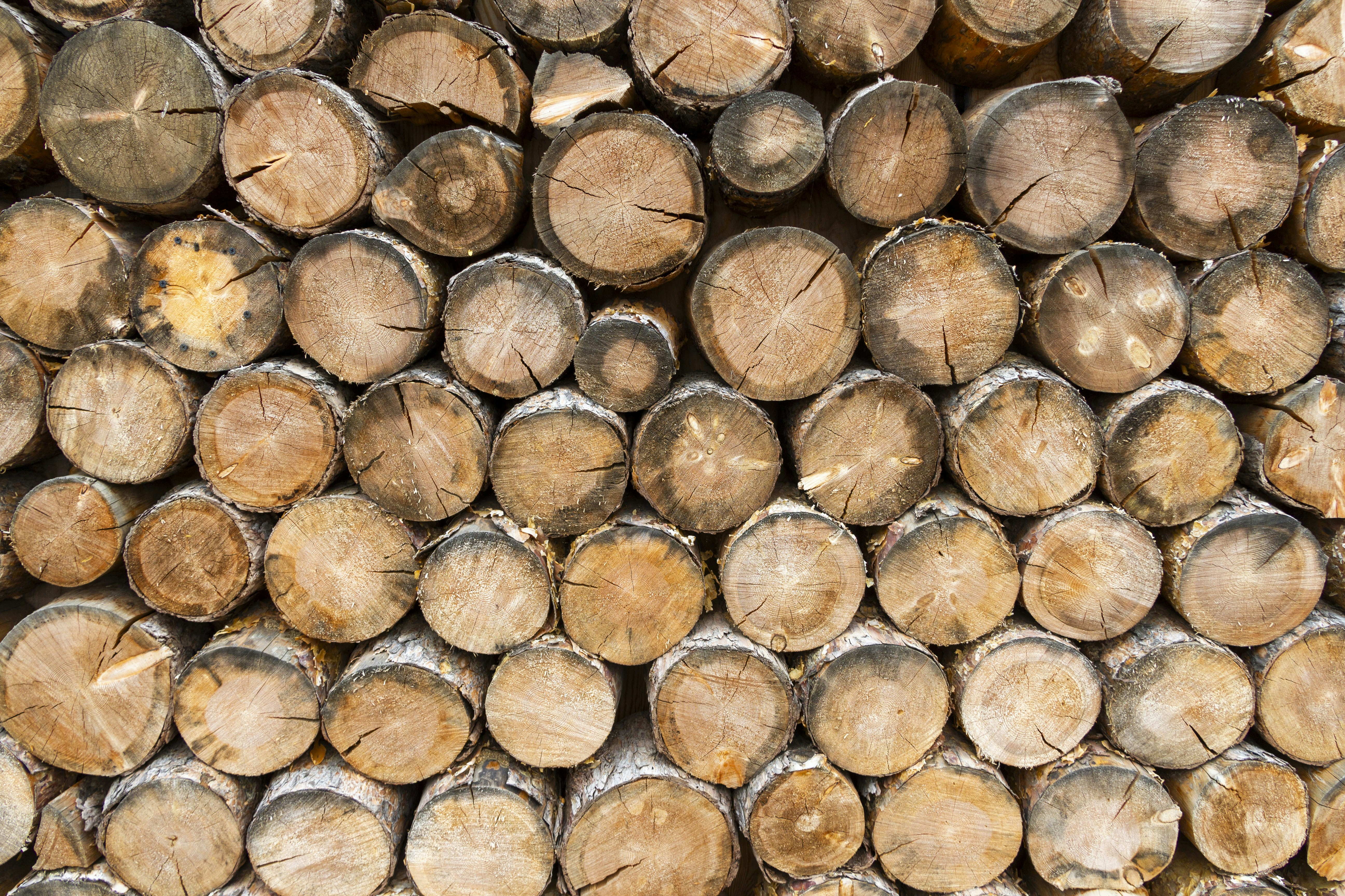 Photo by salty_morning