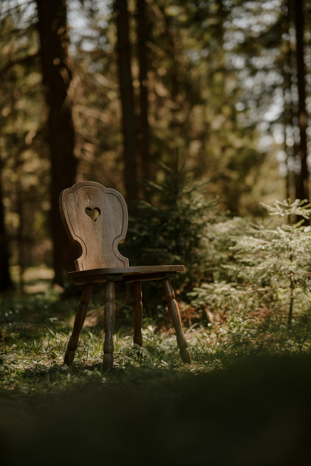 a wooden chair sitting in the middle of a forest