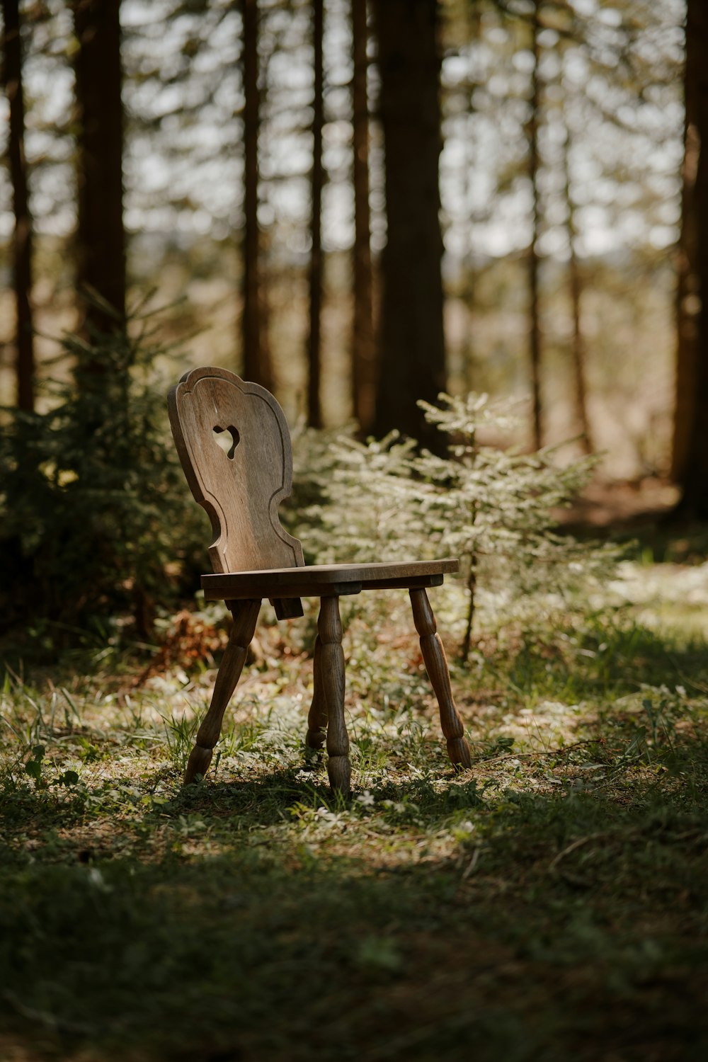 a wooden chair sitting in the middle of a forest