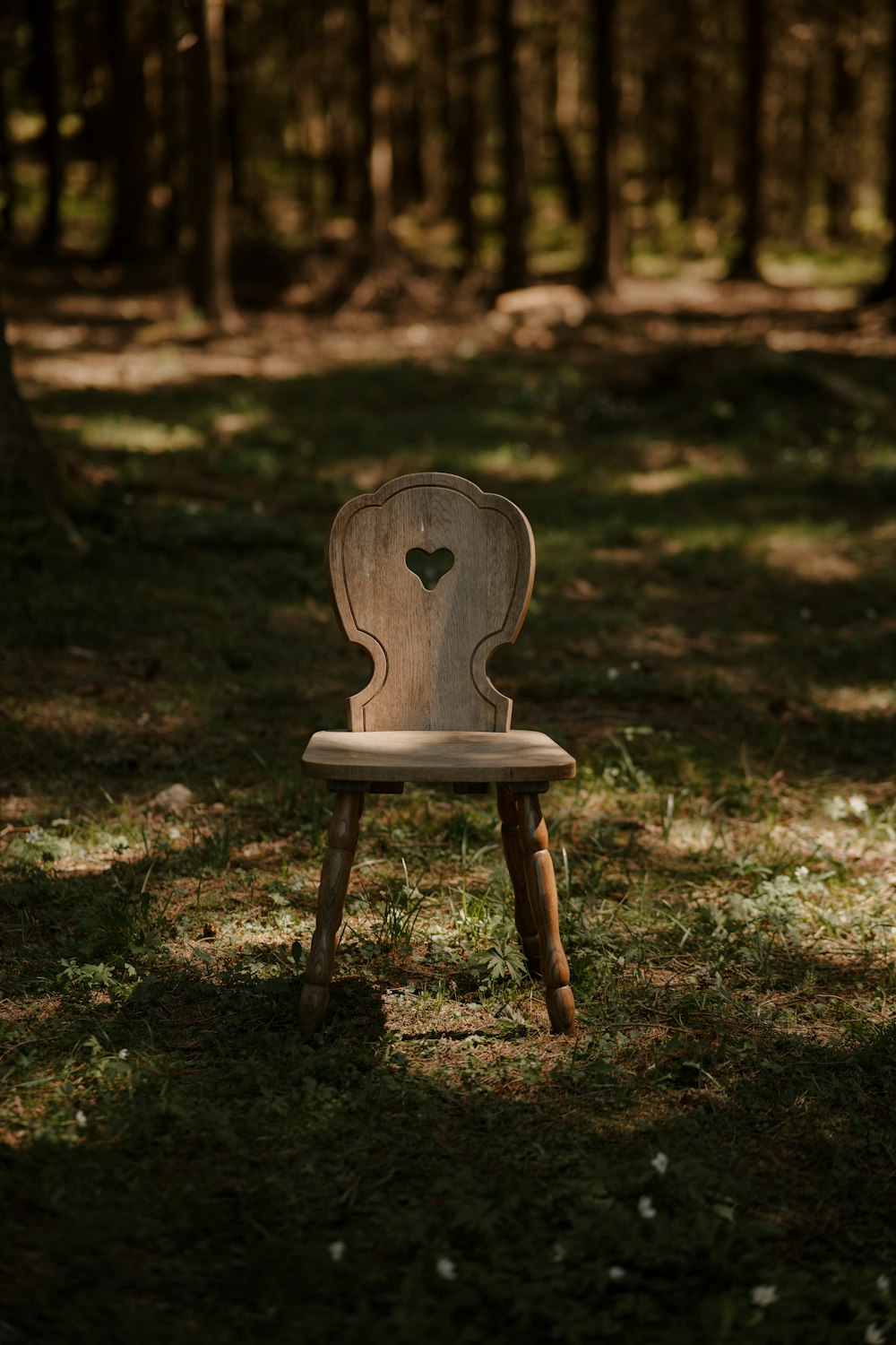 a wooden chair sitting in the middle of a forest