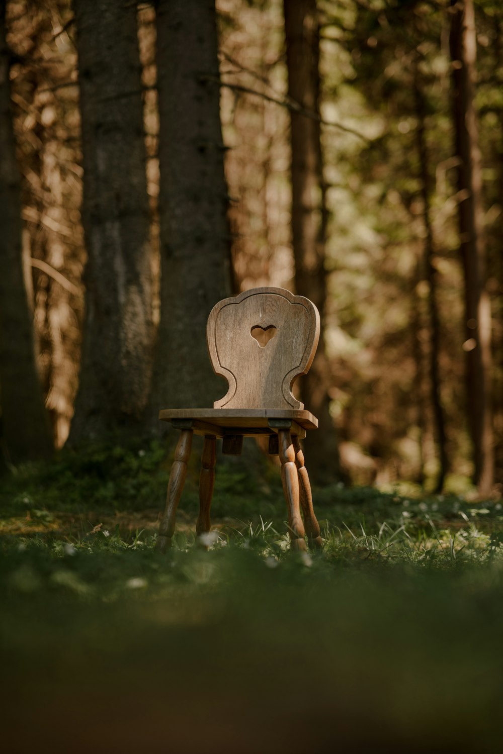 a wooden chair sitting in the middle of a forest