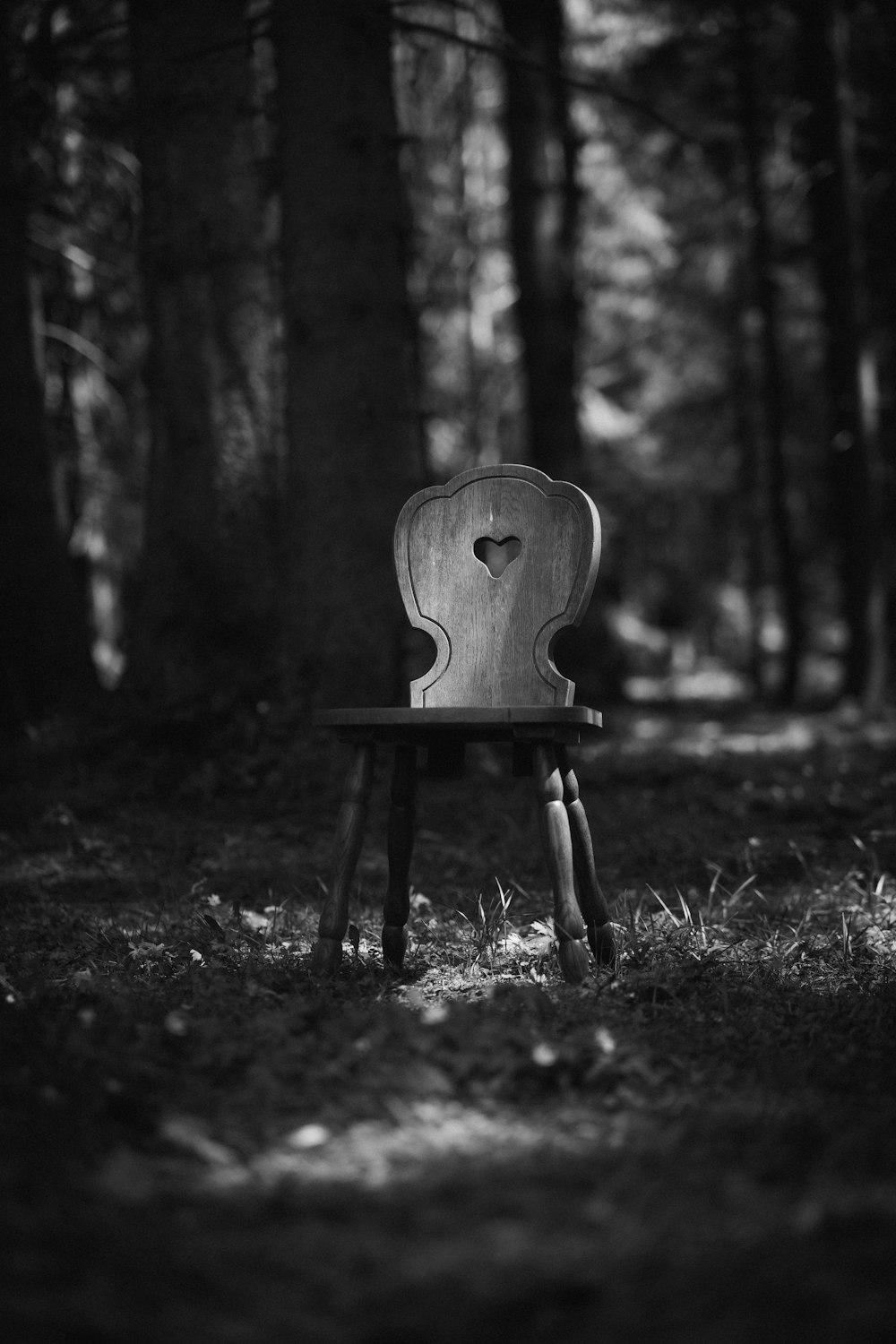 a wooden chair sitting in the middle of a forest