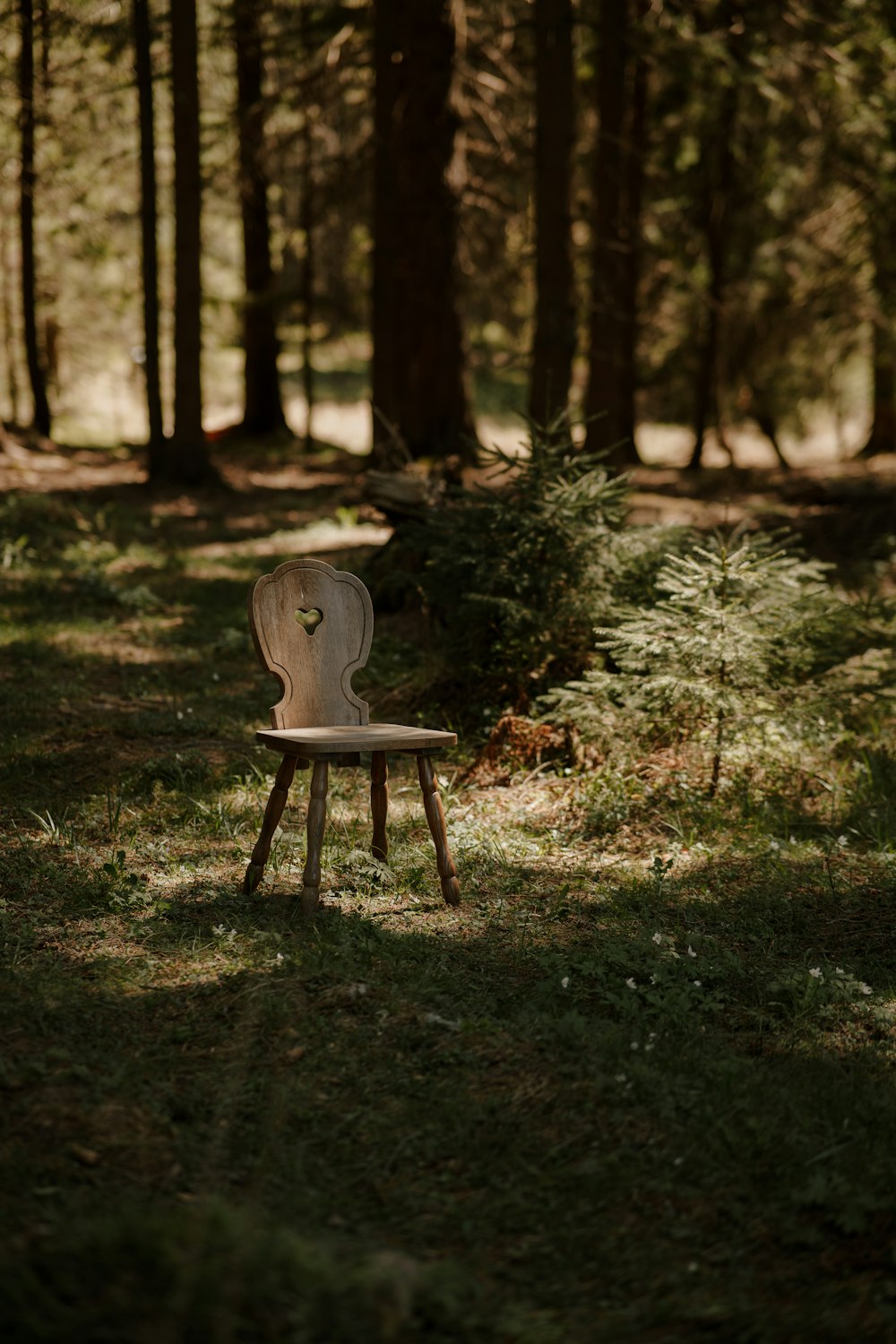 a wooden chair sitting in the middle of a forest