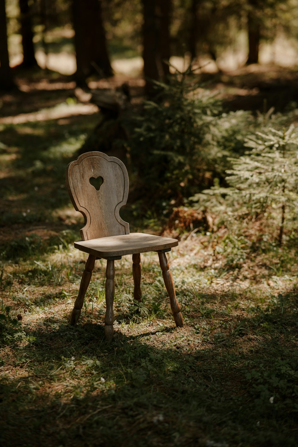 a wooden chair sitting in the middle of a forest