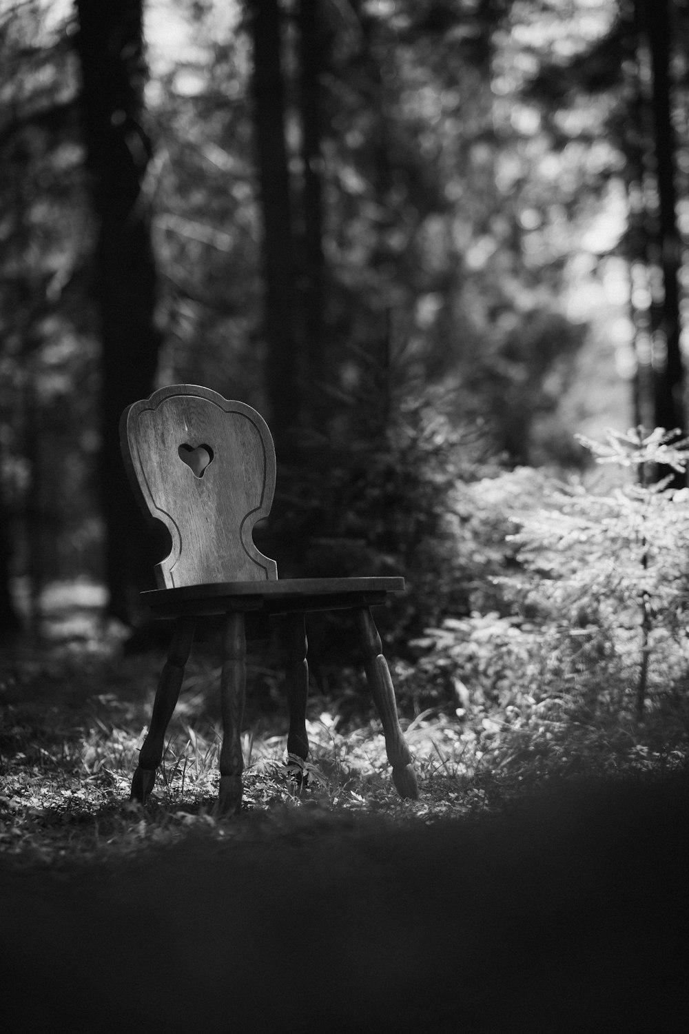 a chair sitting in the middle of a forest