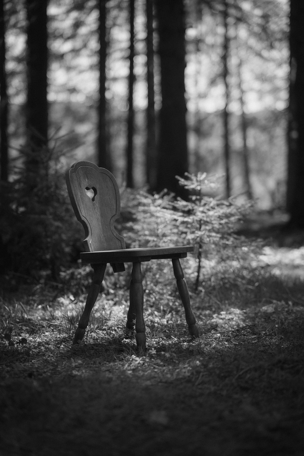 a wooden bench sitting in the middle of a forest