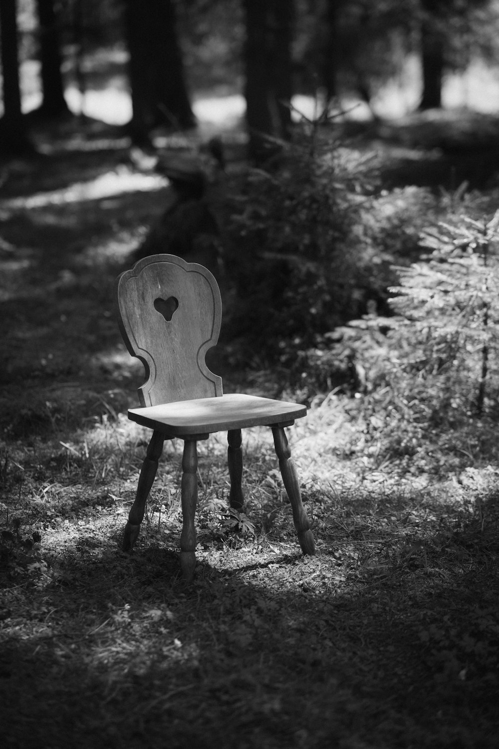 a wooden chair sitting in the middle of a forest